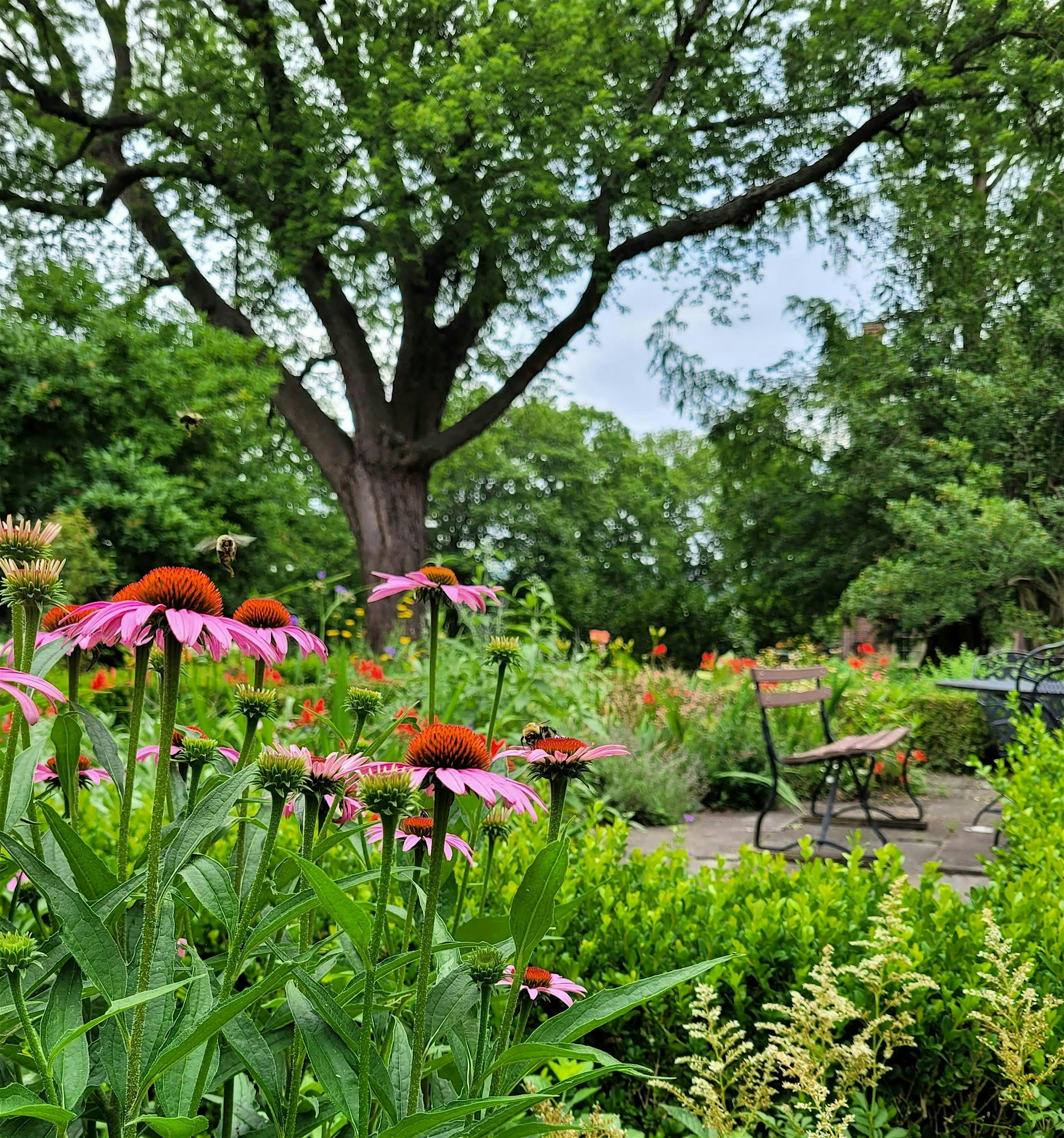 Ten Broeck Mansion Gardening & Community Days 2026