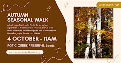 Autumn Seasonal Walk