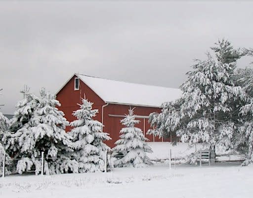 Winter on the Farm