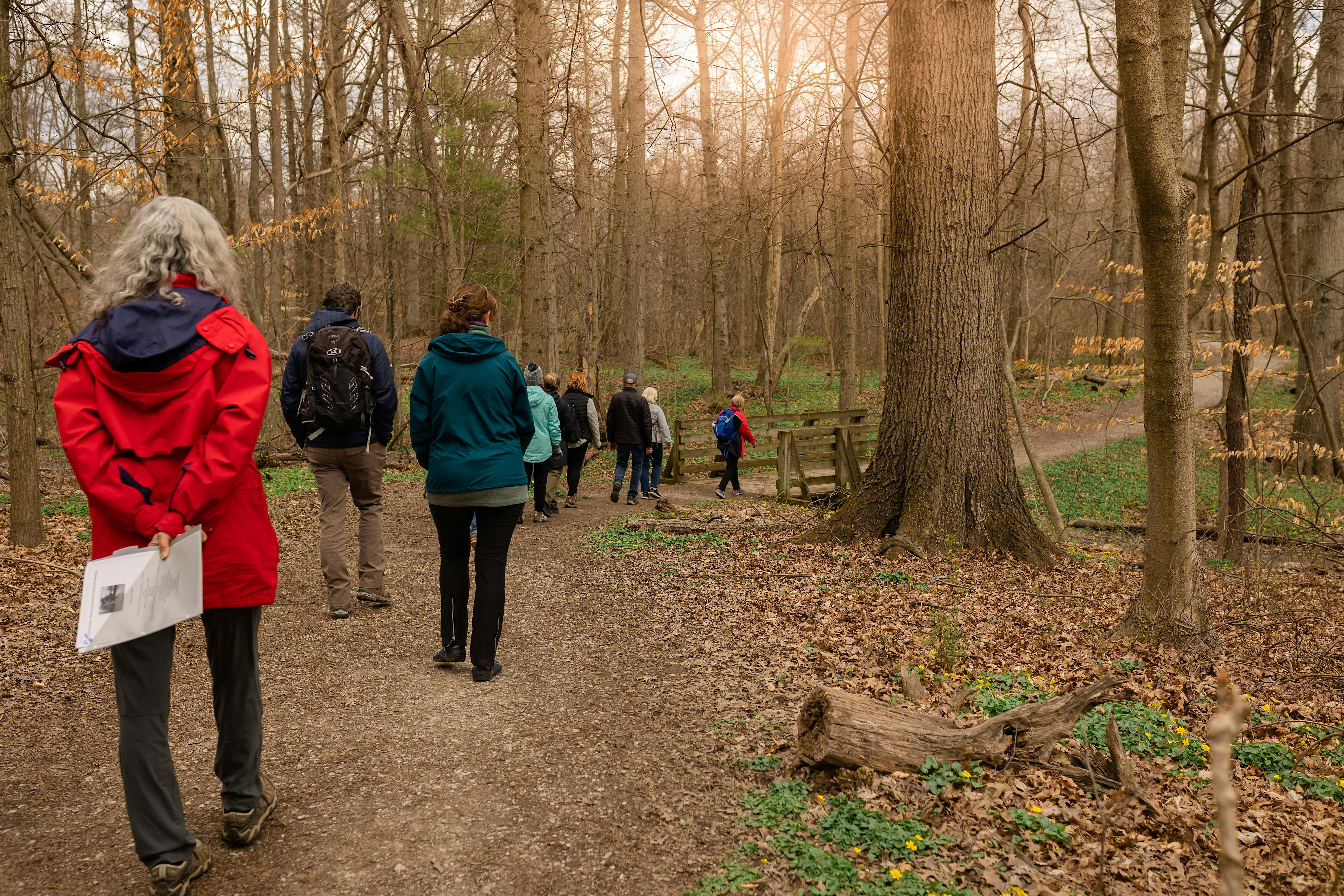 Forest Bathing Walk at Ault Park