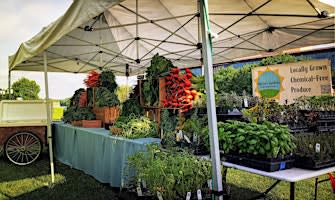 Farm Stand Fridays