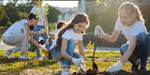 Temple Landscaping Service