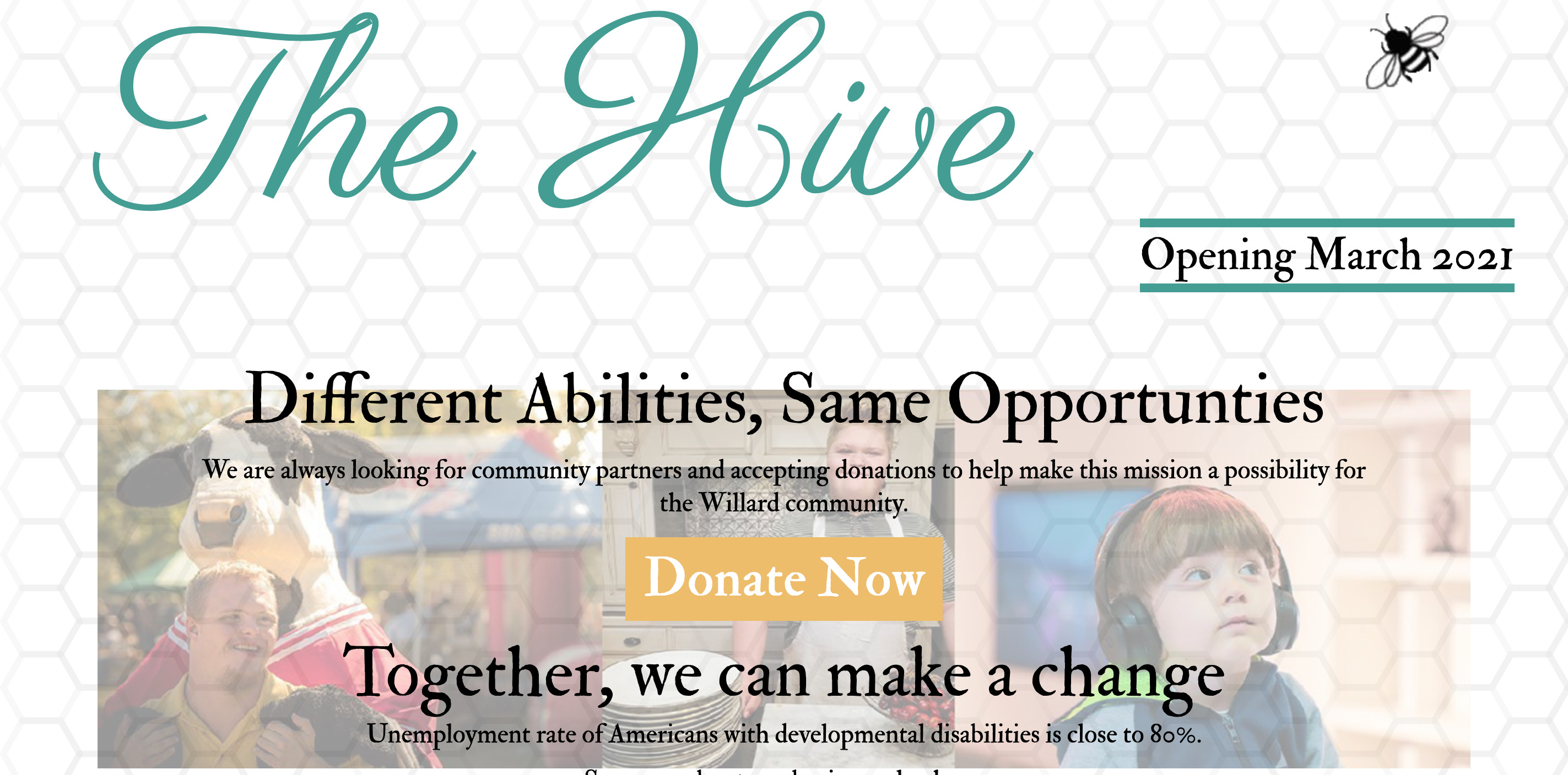 screenshot of hive of the ozarks website