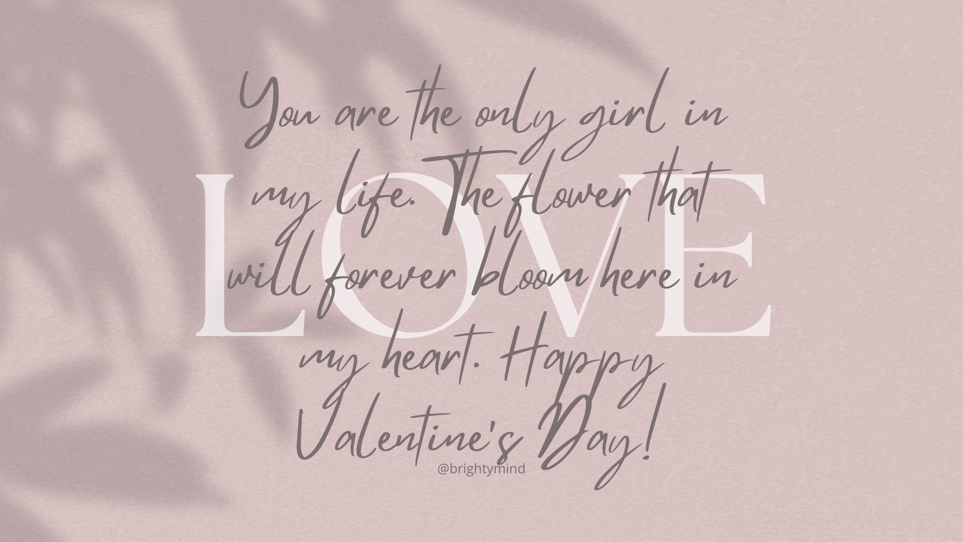 You are the only girl in my life. The flower that will forever bloom here in my heart. Happy Valentine’s Day!