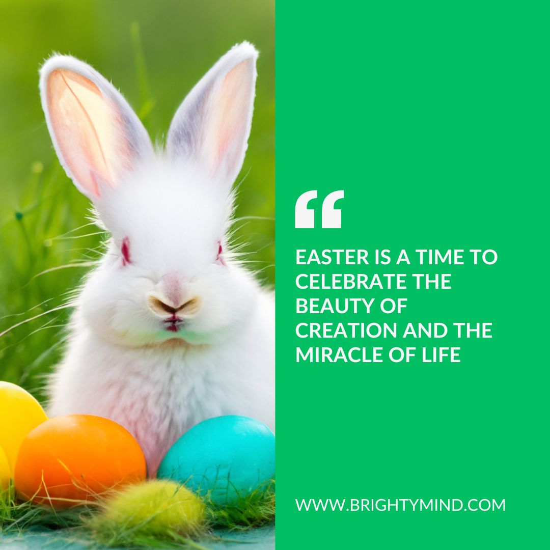 Easter is a time to celebrate the beauty of creation and the miracle of life