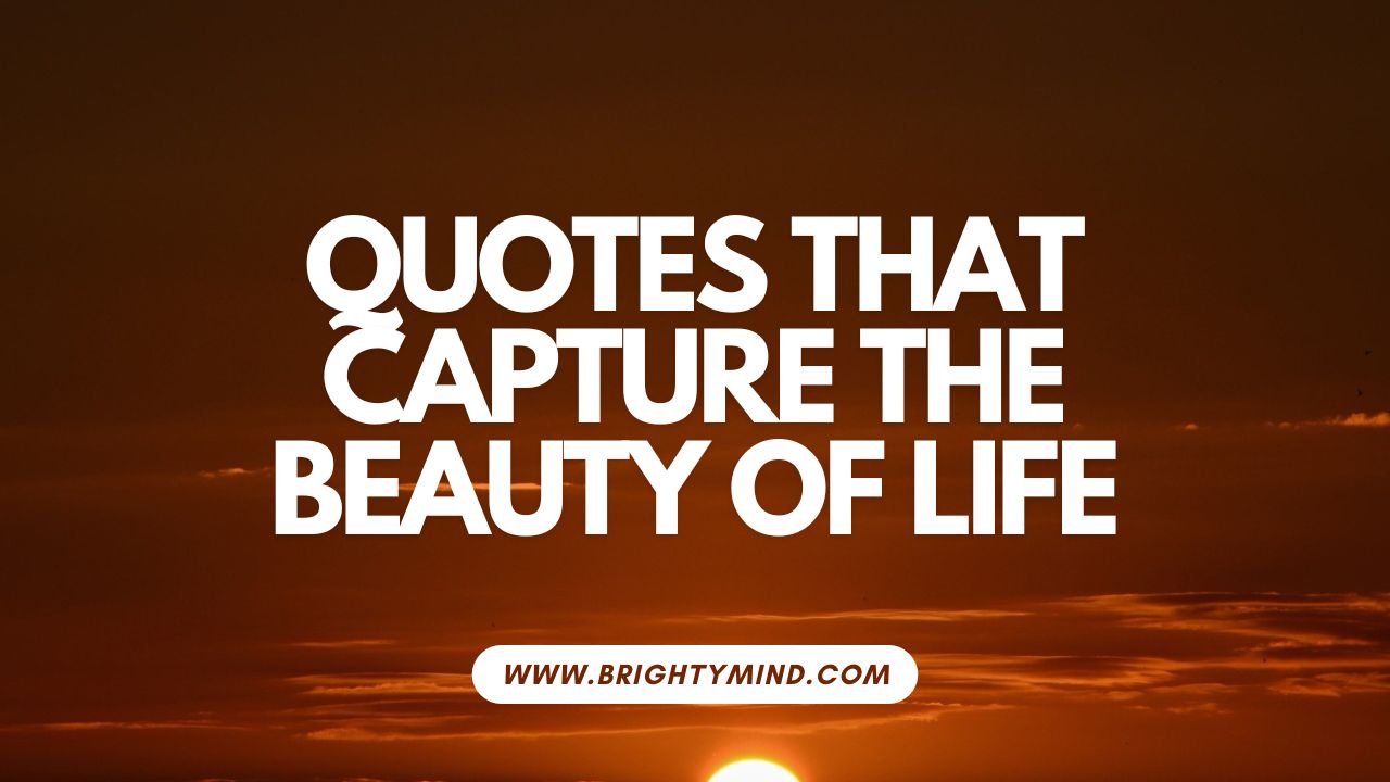 Quotes That Capture The Beauty of Life