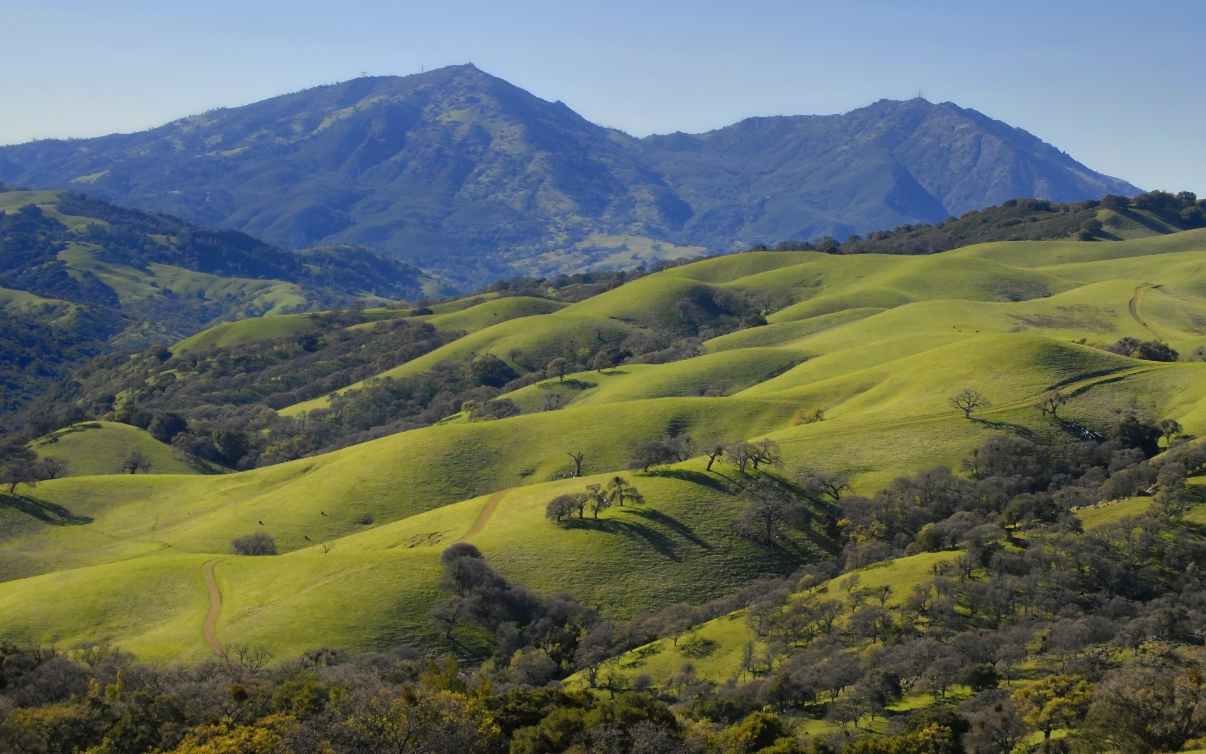 Accessibility is Essential 