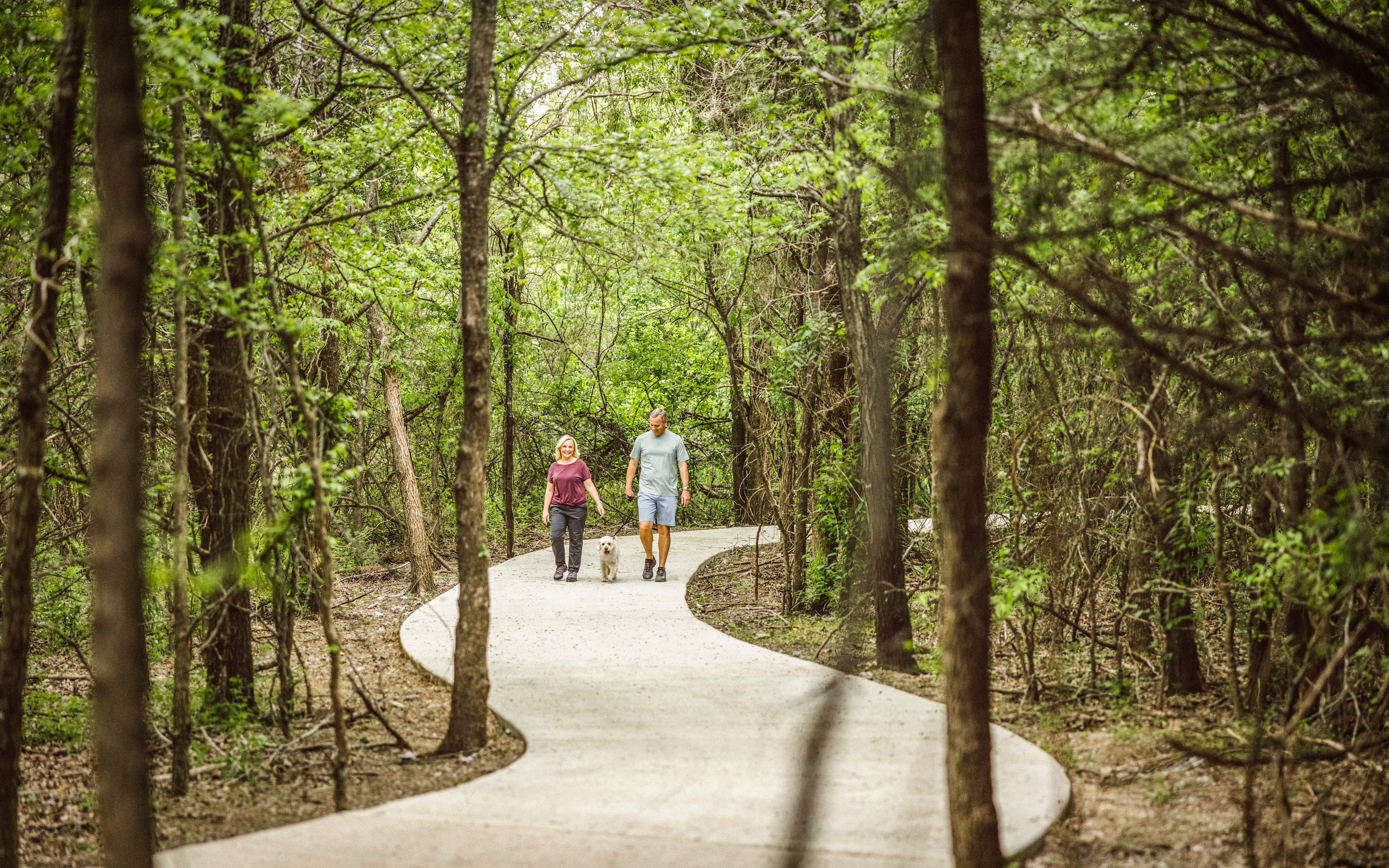 A winding path through a lush, green forest, with two people walking along it.
