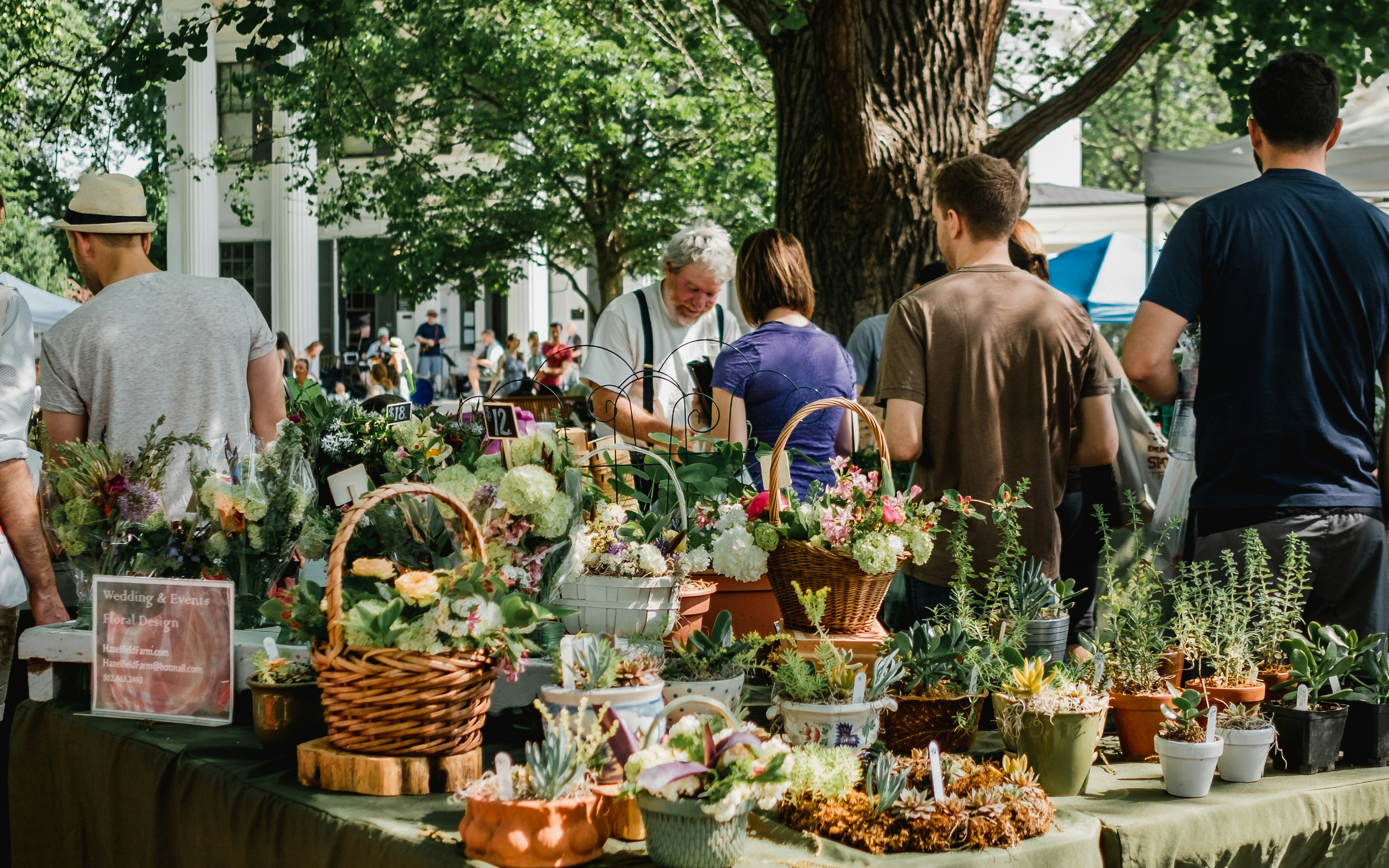 A bustling outdoor market with various vendors selling an array of fresh produce, plants, and other goods, set against a backdrop of lush greenery and a large tree.