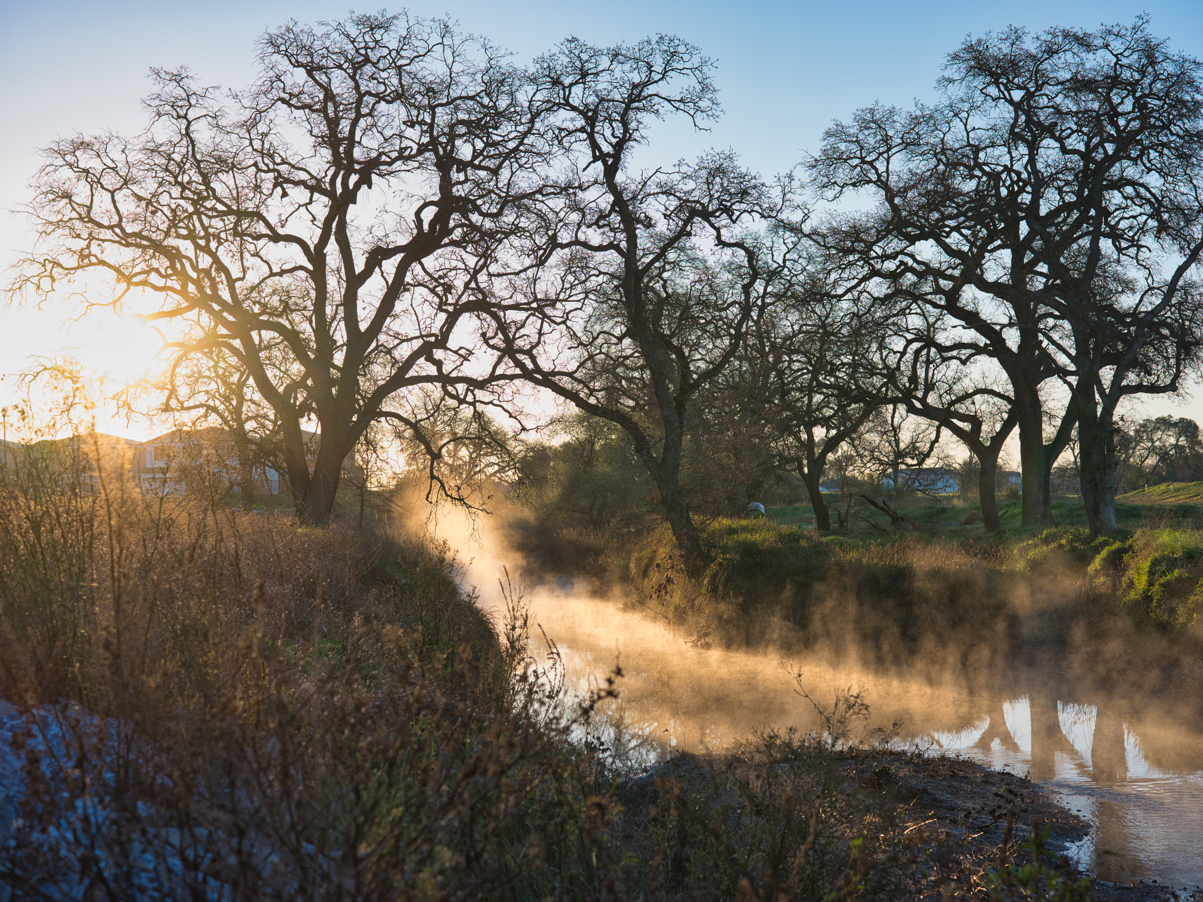 A serene landscape with a winding dirt path leading through a lush, wooded area, with the sun's warm glow filtering through the bare branches and casting a soft light on the surrounding vegetation and water.