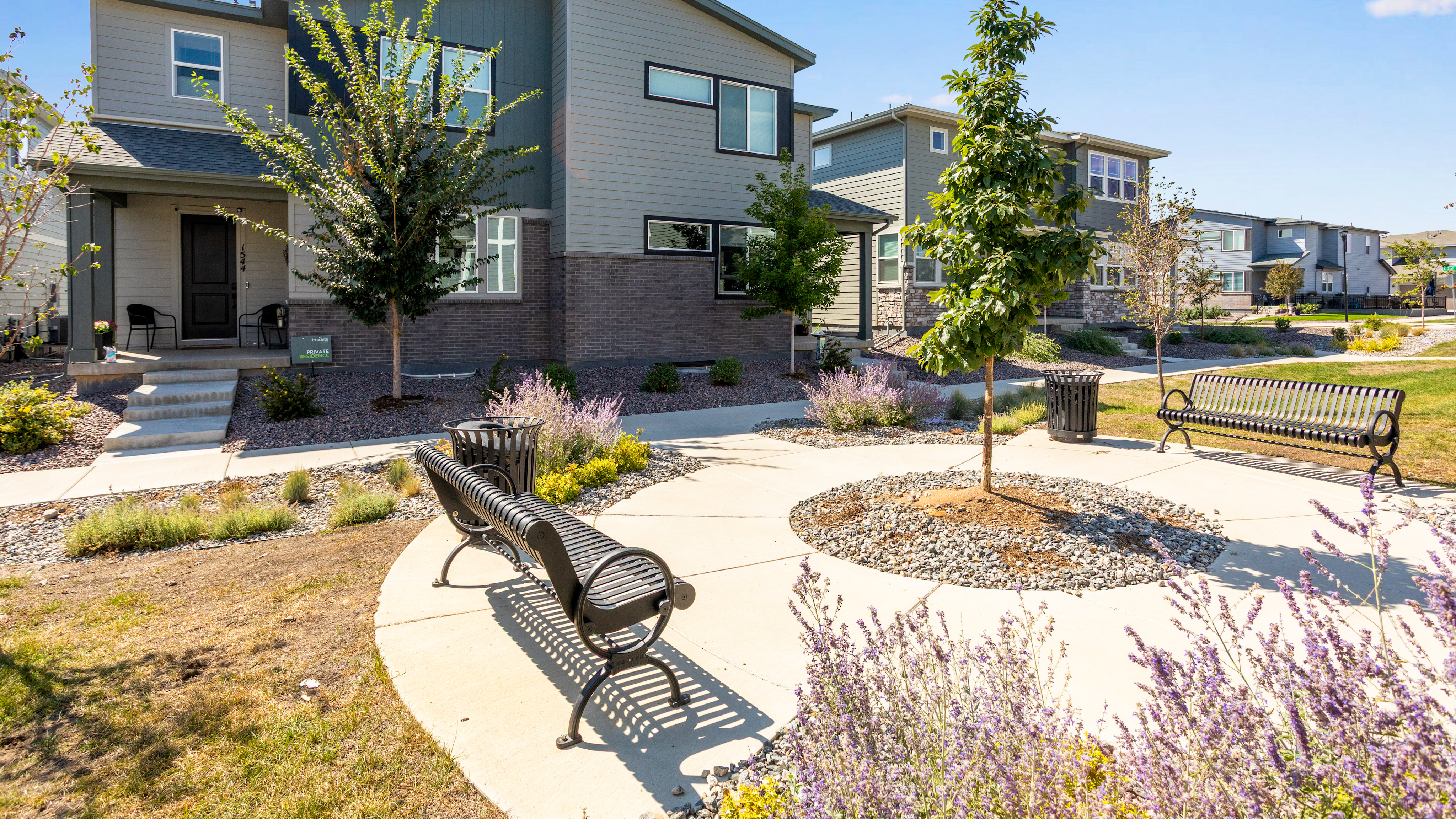 A paved courtyard with benches and purple flowers sits in the foreground, while modern multi-story townhomes stand under a blue sky in the background.