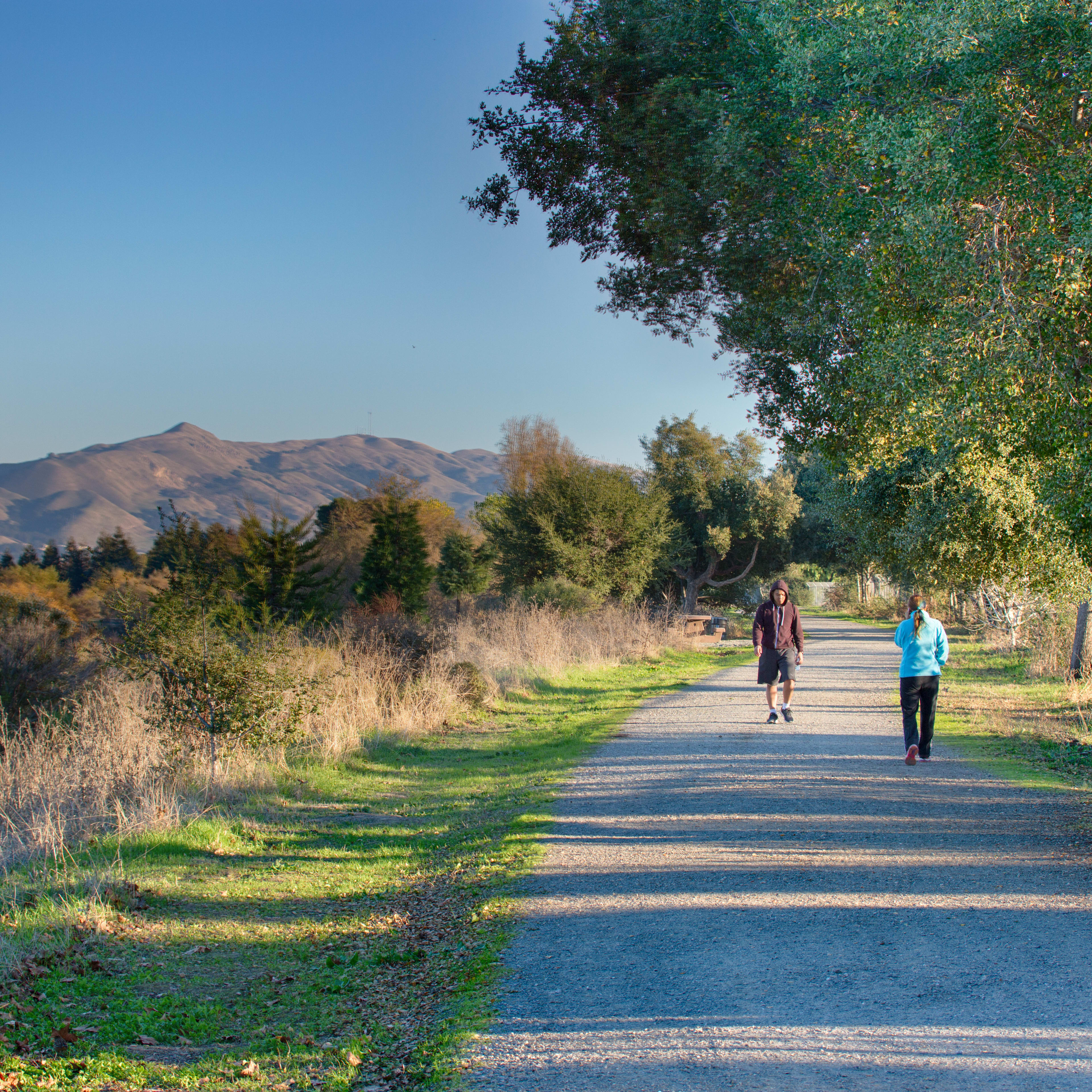 By the shimmering lake, trails and pools invite laughter, play, and effortless connection for every generation.