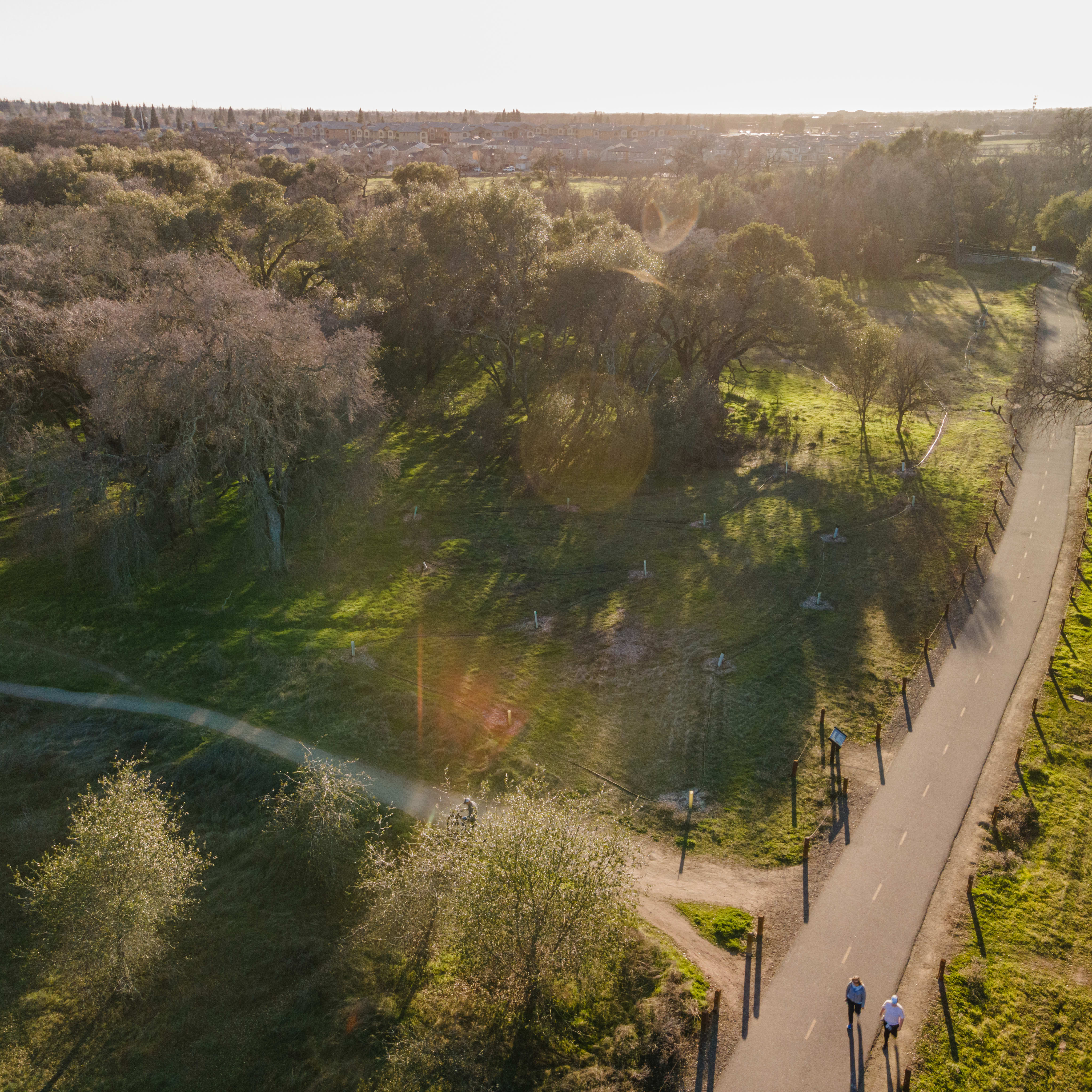 A lush, verdant landscape with a winding path leading through a wooded area, surrounded by rolling hills and a vibrant, sun-dappled atmosphere.