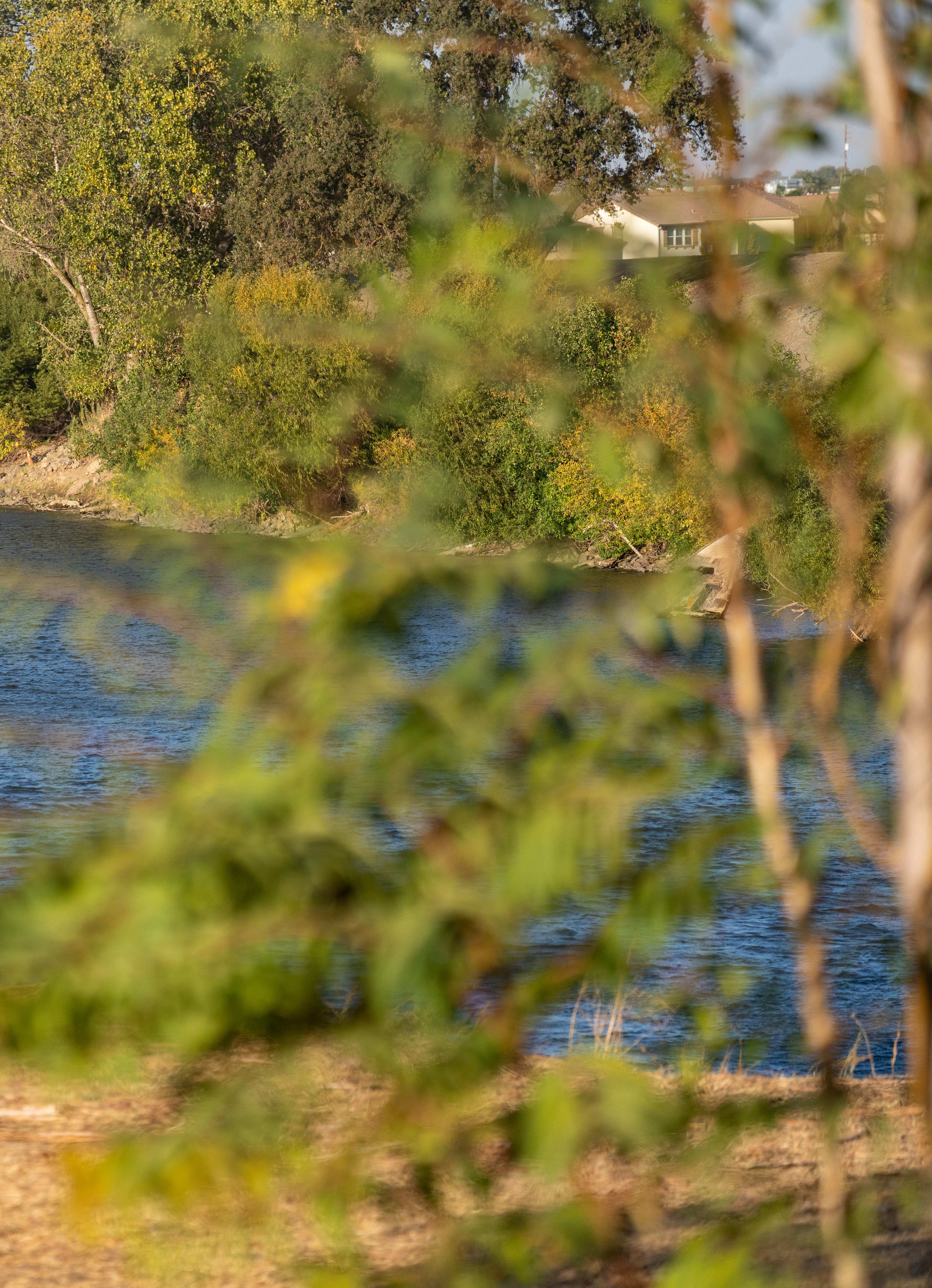 American River and Lakes