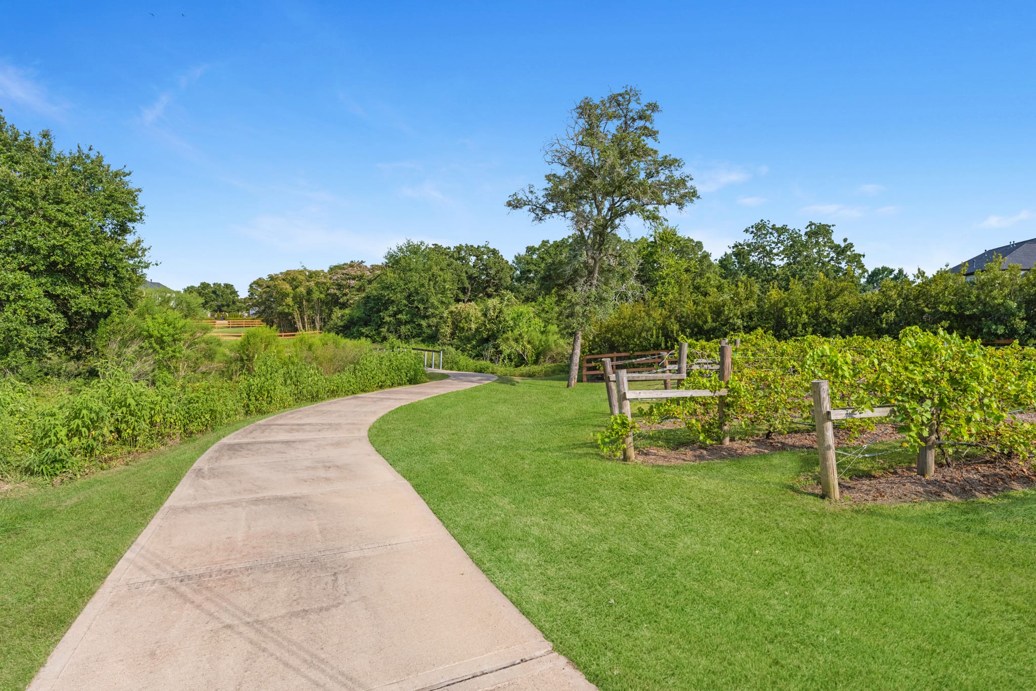 A paved walkway winds through a lush, green landscape with trees, shrubs, and a well-manicured lawn, leading towards a distant wooded area under a clear blue sky.