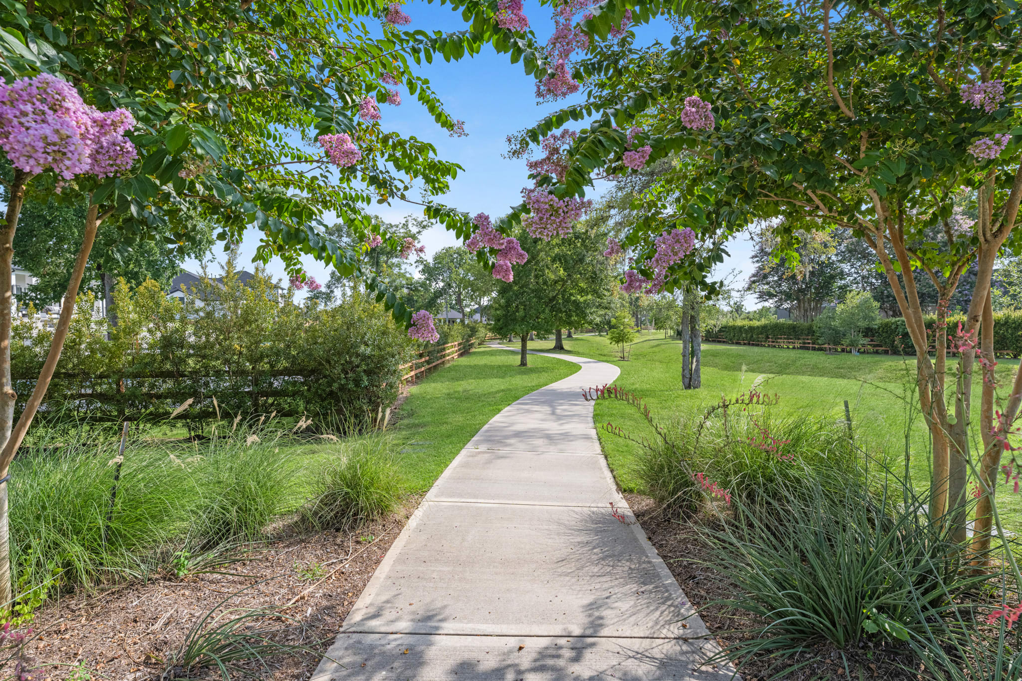 A peaceful garden path winds through lush greenery, with vibrant purple flowers hanging overhead, leading to a grassy expanse beyond.