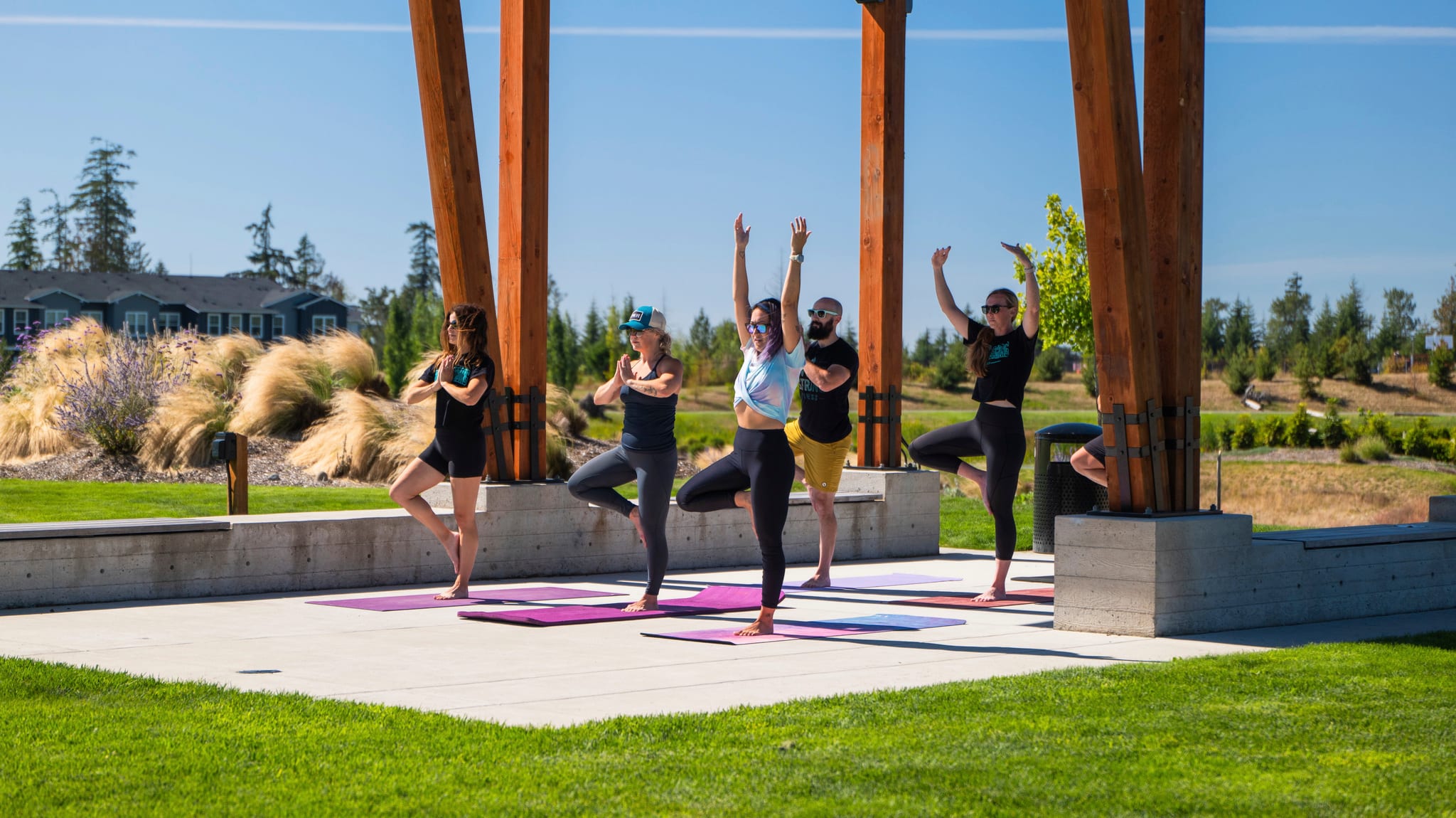 A group of people practicing yoga poses on a grassy outdoor area, with a scenic background of trees and a clear blue sky.