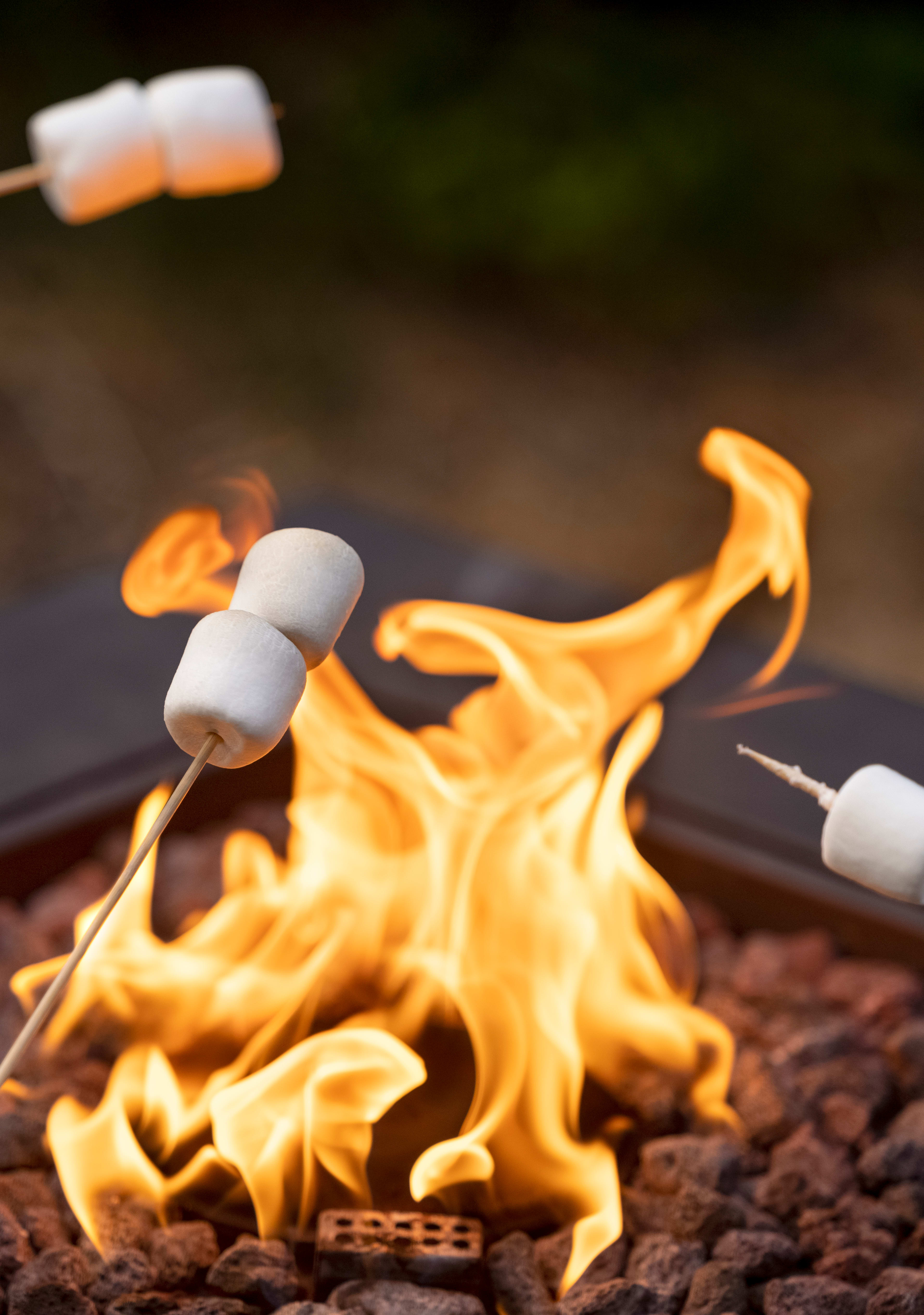 The image shows a hand holding a marshmallow-tipped skewer over a crackling campfire, with a dark background suggesting an outdoor setting.