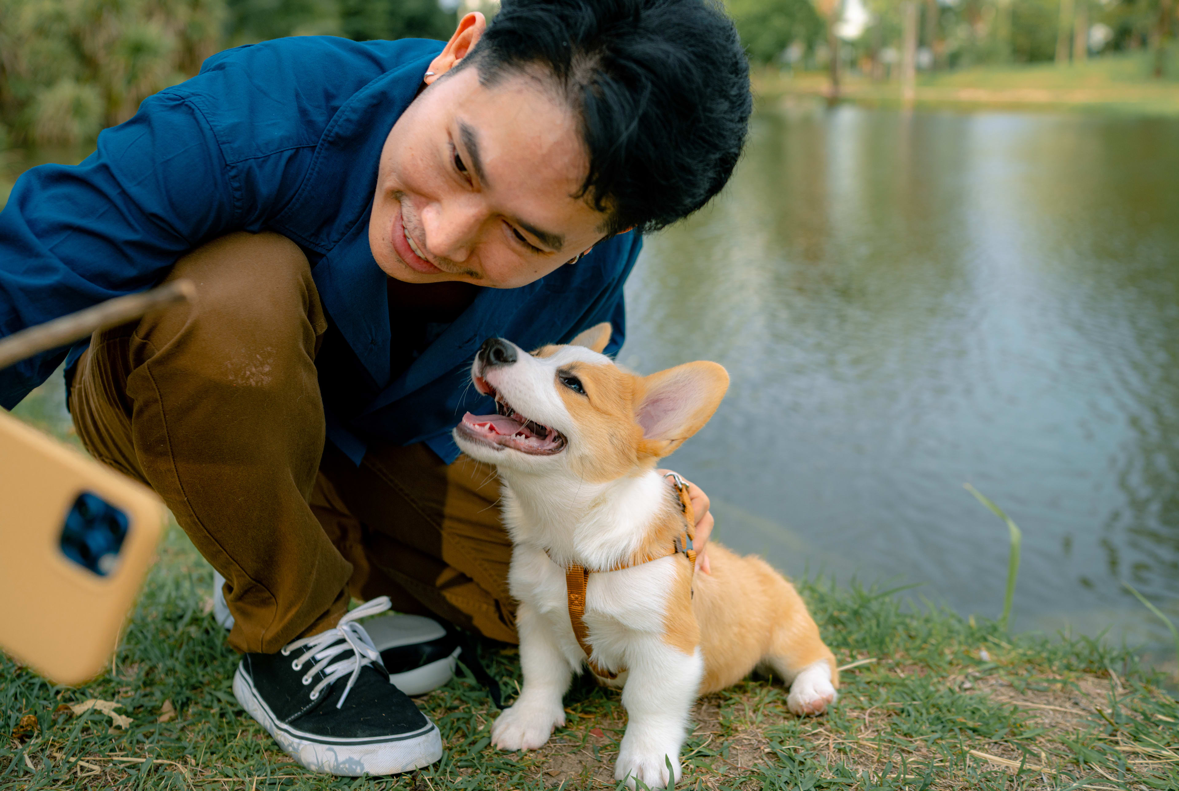 A young man in casual clothing is crouching down and interacting affectionately with a small, friendly-looking dog in a grassy area near a body of water.