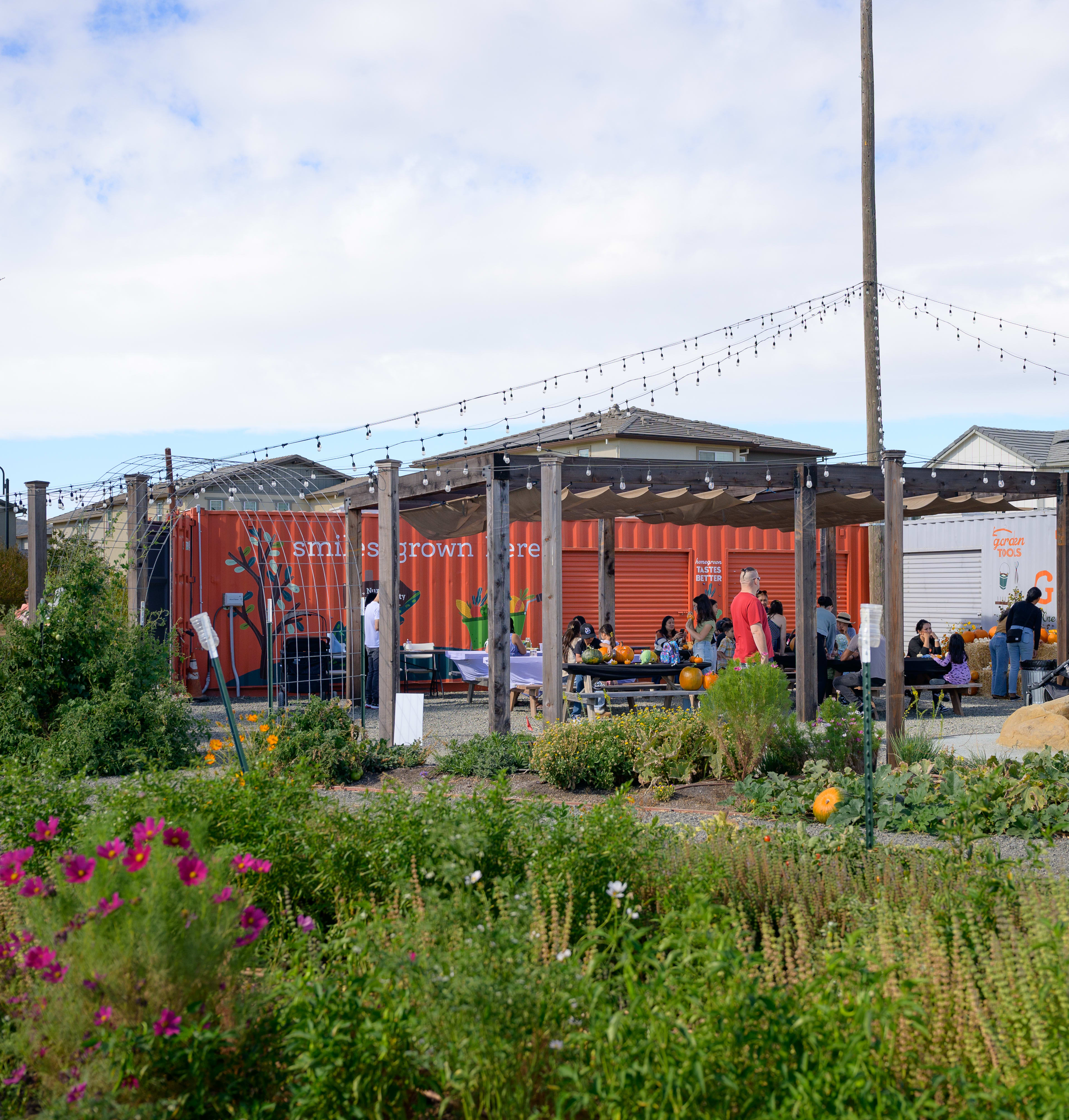 A vibrant community garden with colorful flowers and plants in the foreground, surrounded by a mix of residential and commercial buildings in the background.