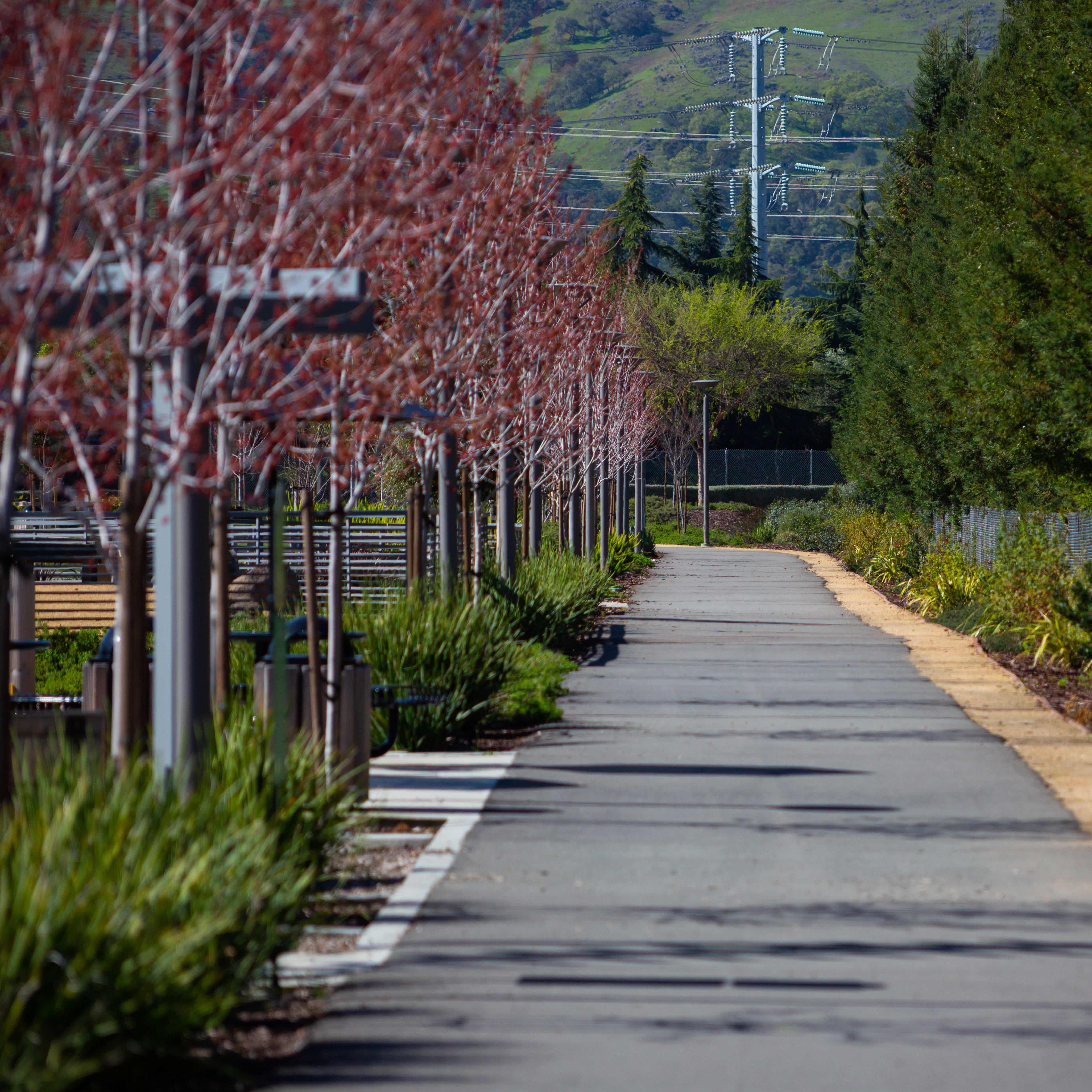 A paved walkway lined with red-barked trees and lush greenery, leading towards a distant landscape with buildings and structures.