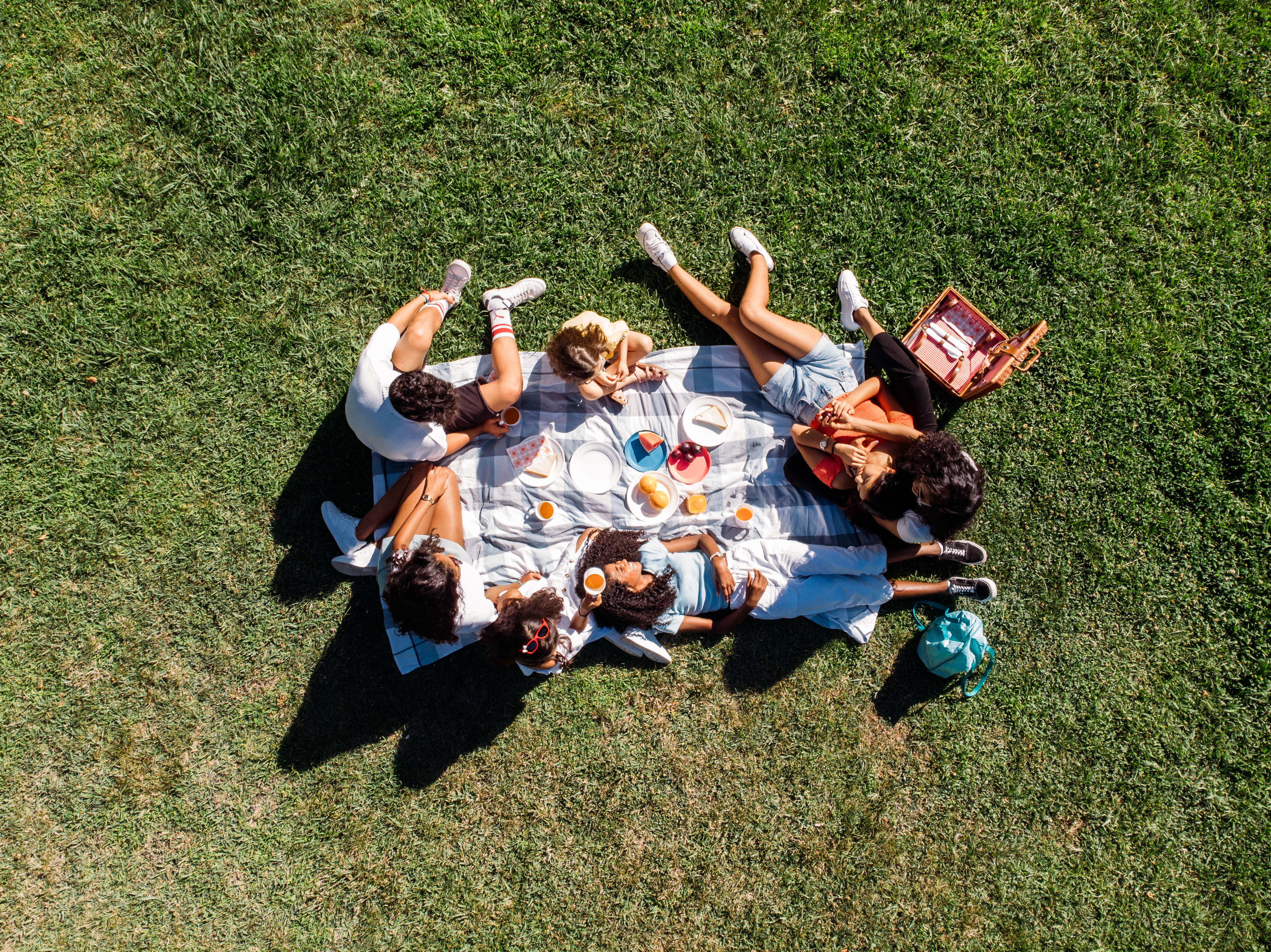 A group of people relaxing on a picnic blanket in a grassy field, surrounded by lush greenery.