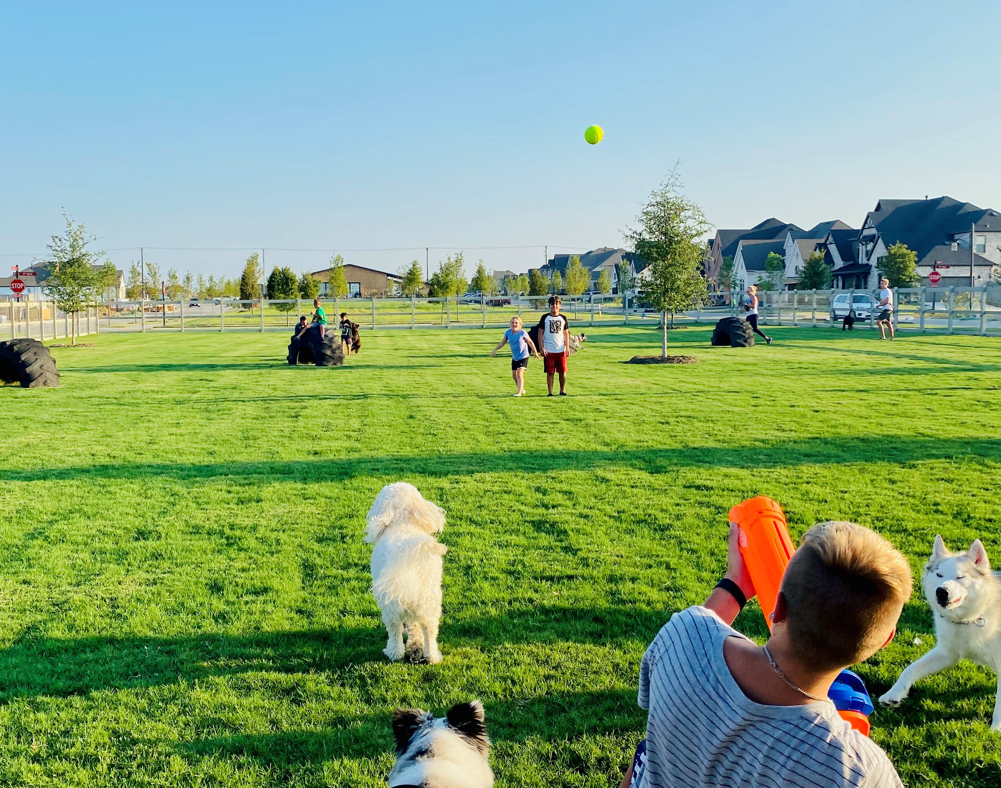 A grassy park with people and dogs playing, surrounded by residential buildings and a clear blue sky with a floating balloon.