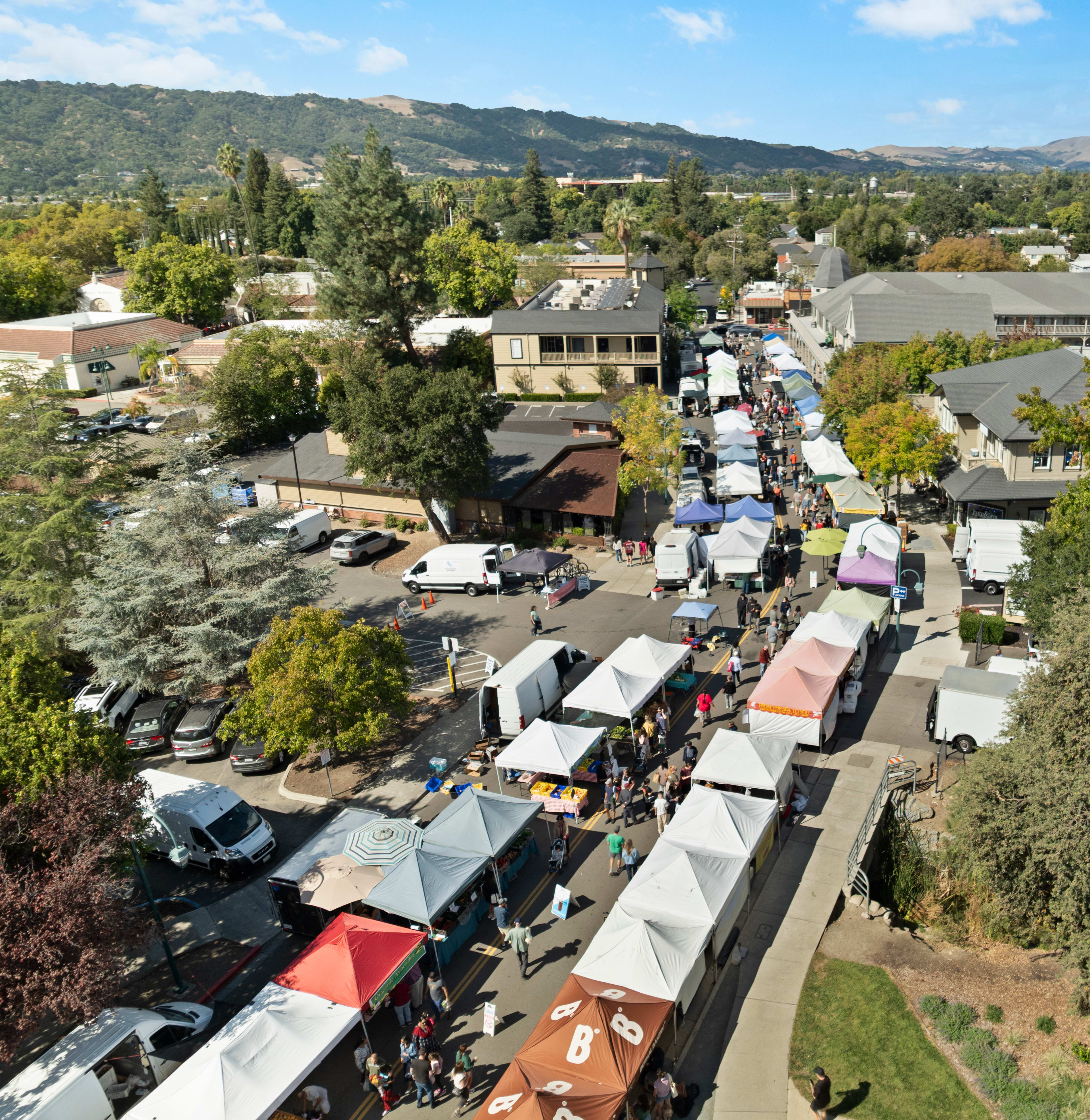 A bustling outdoor market with numerous tents and stalls, surrounded by a hilly, tree-lined landscape in the background.