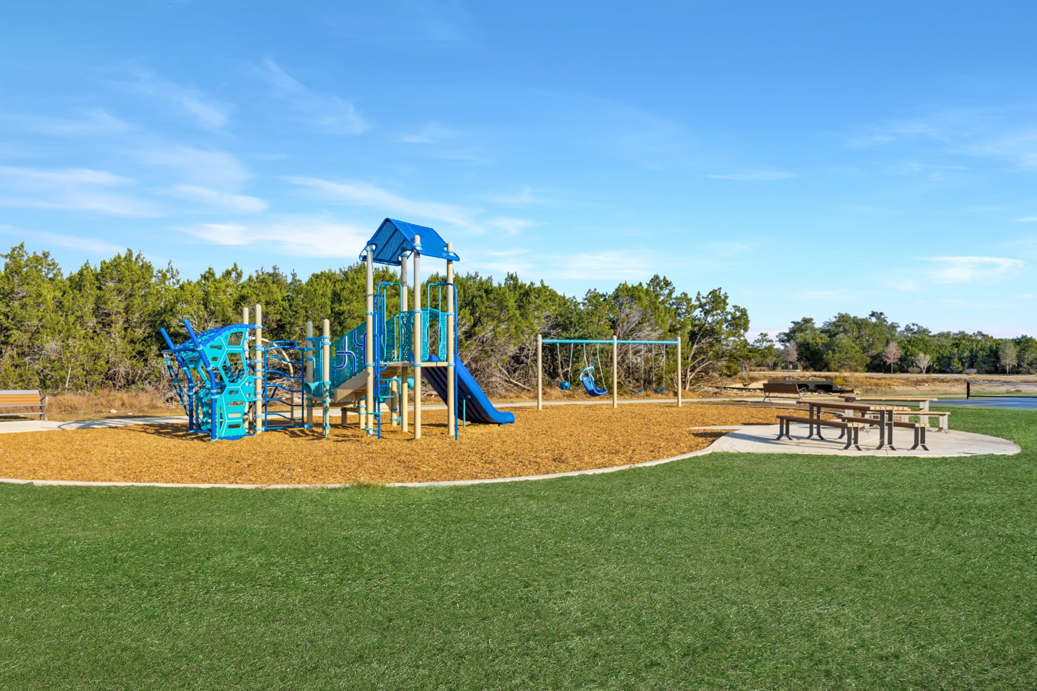 A colorful playground with various structures and equipment sits on a grassy field, surrounded by a pine forest under a bright blue sky.