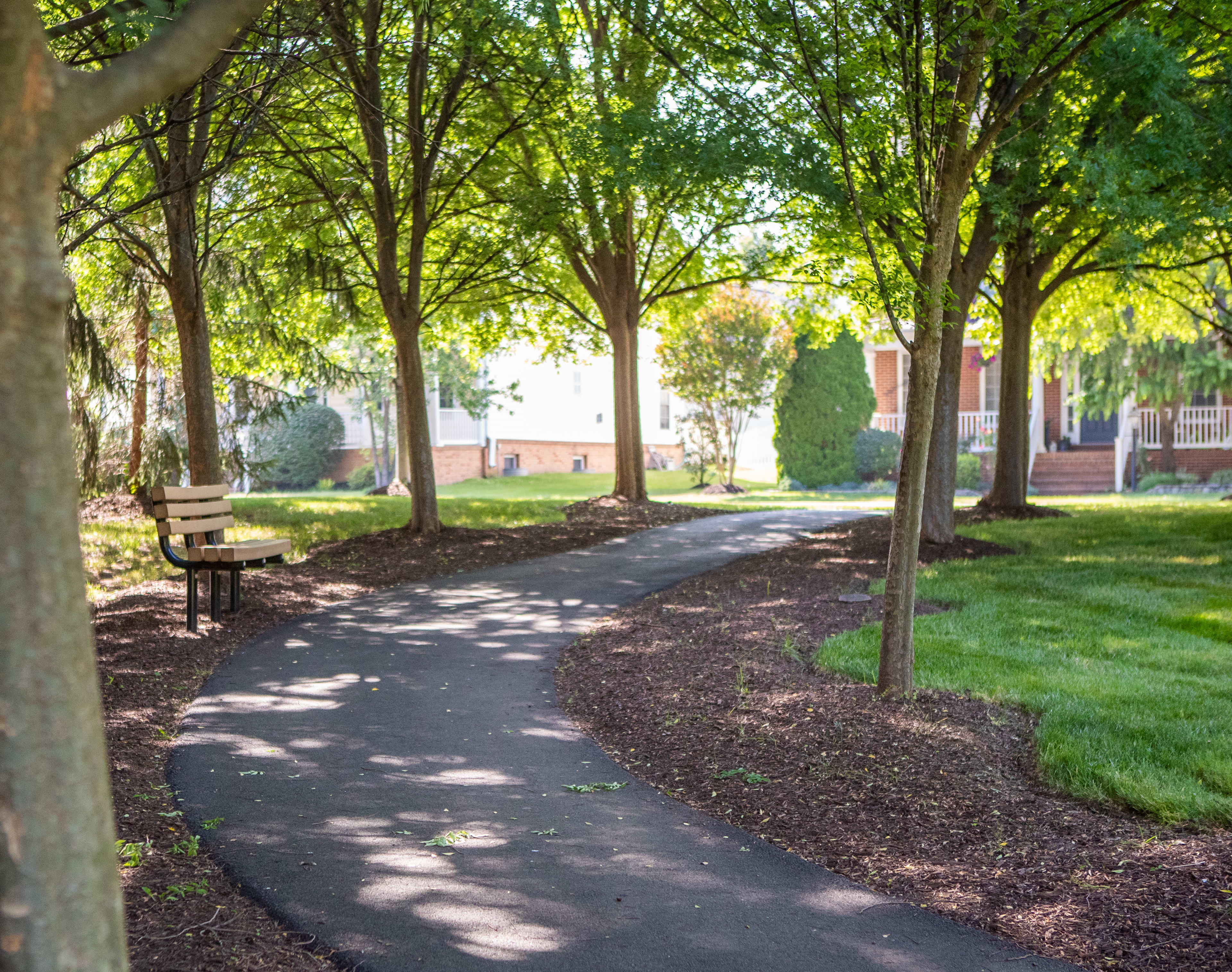 A peaceful, tree-lined path winds through a lush, green park, with a bench visible in the foreground and buildings in the background.