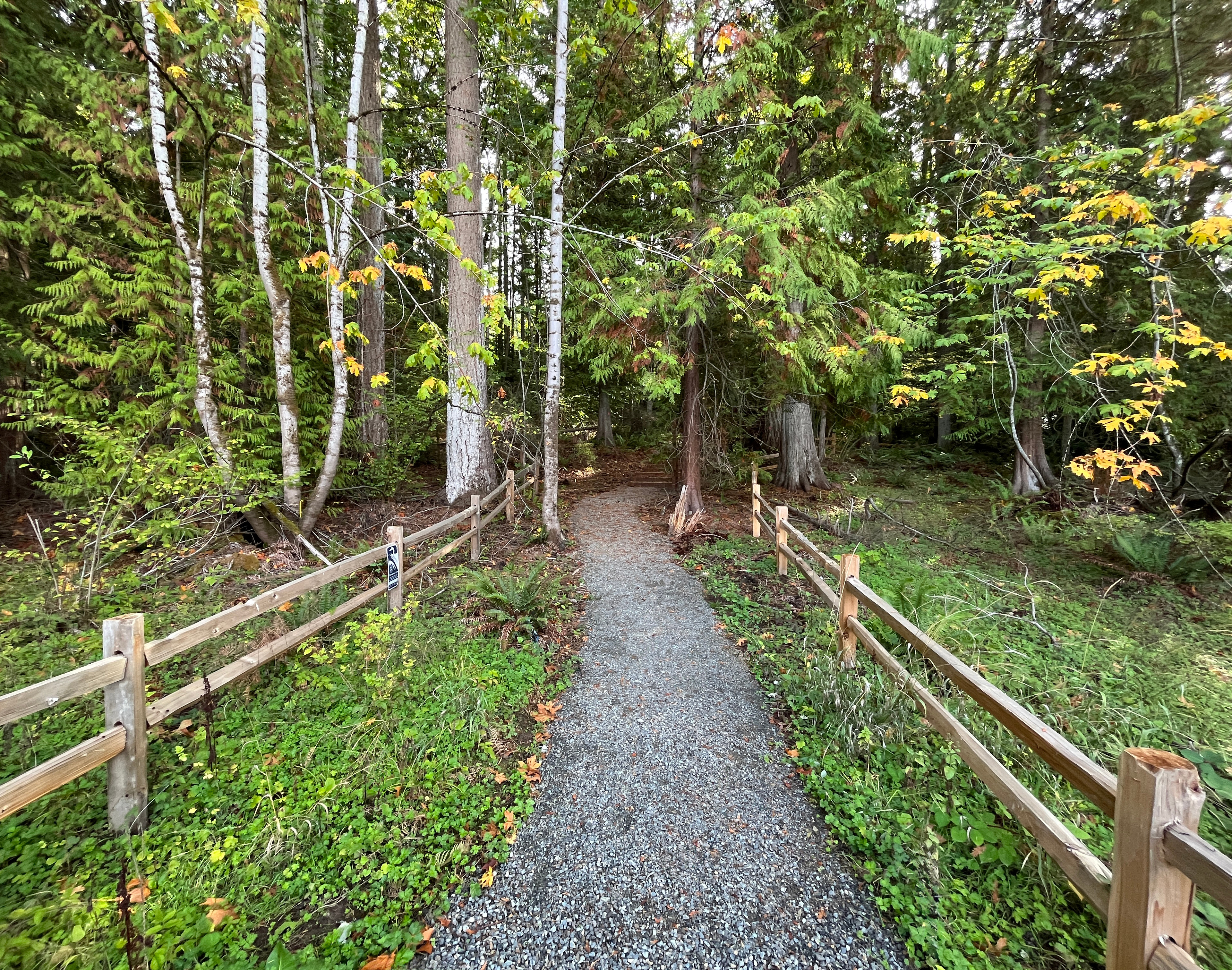 Trail-Lined Greenbelt