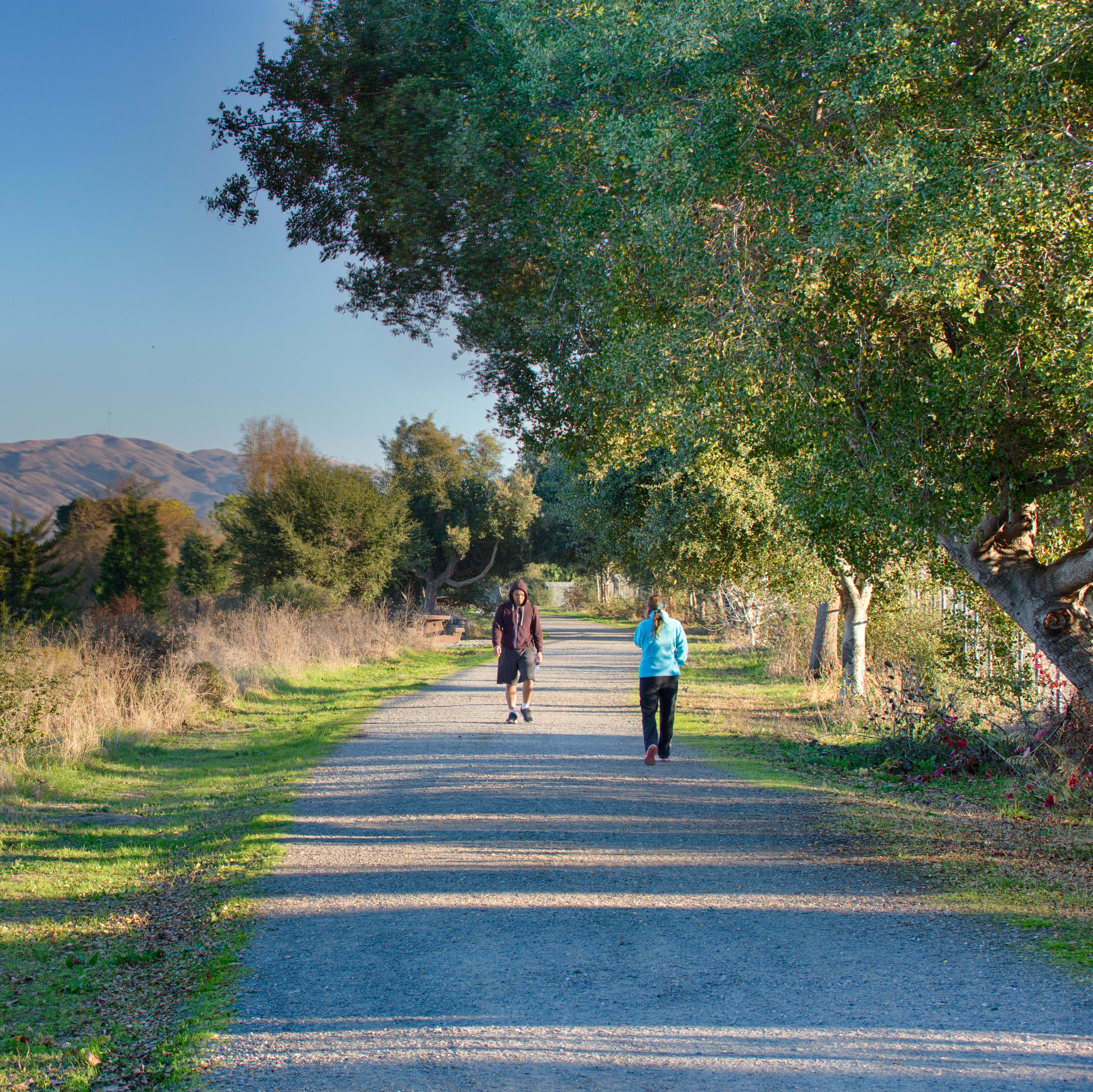 By the shimmering lake, trails and pools invite laughter, play, and effortless connection for every generation.