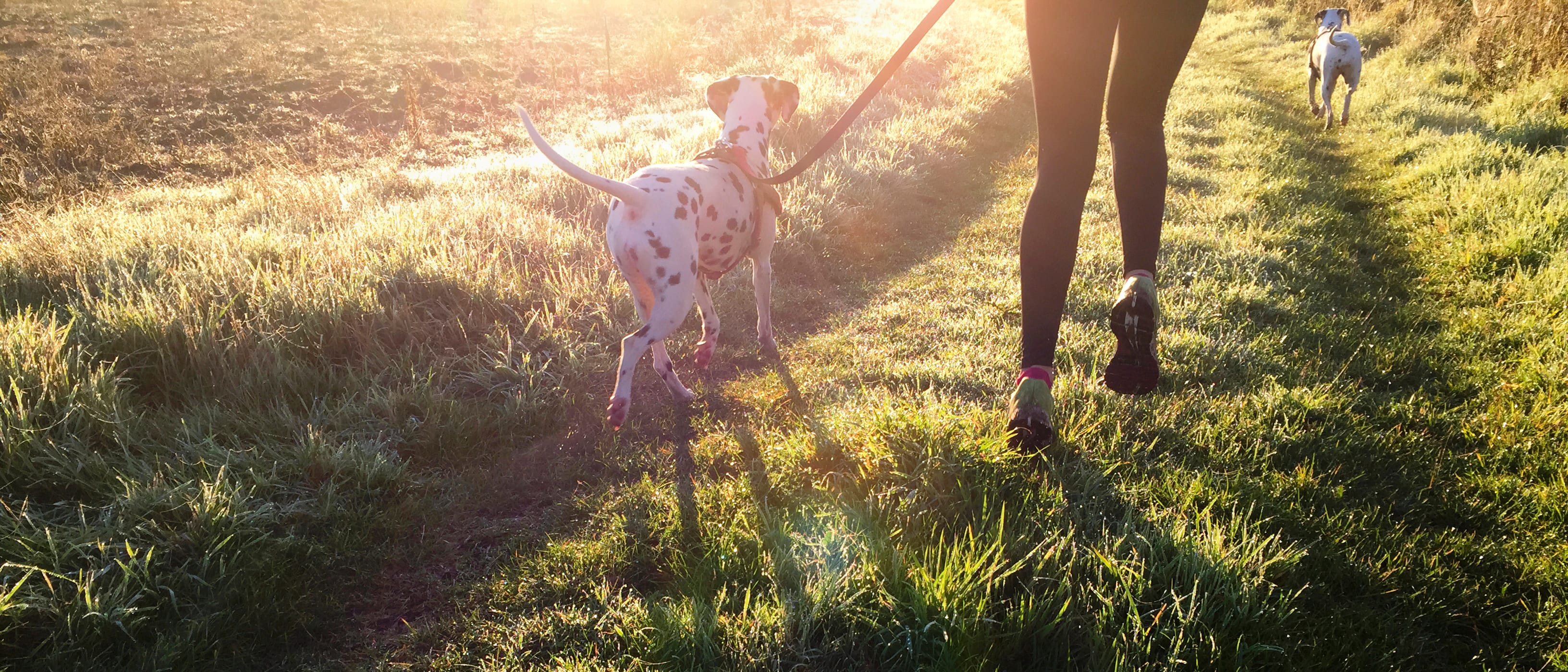 Enjoy modern living with two major parks and two pocket parks within ½ mile, offering endless outdoor recreation and relaxation right outside your door. 