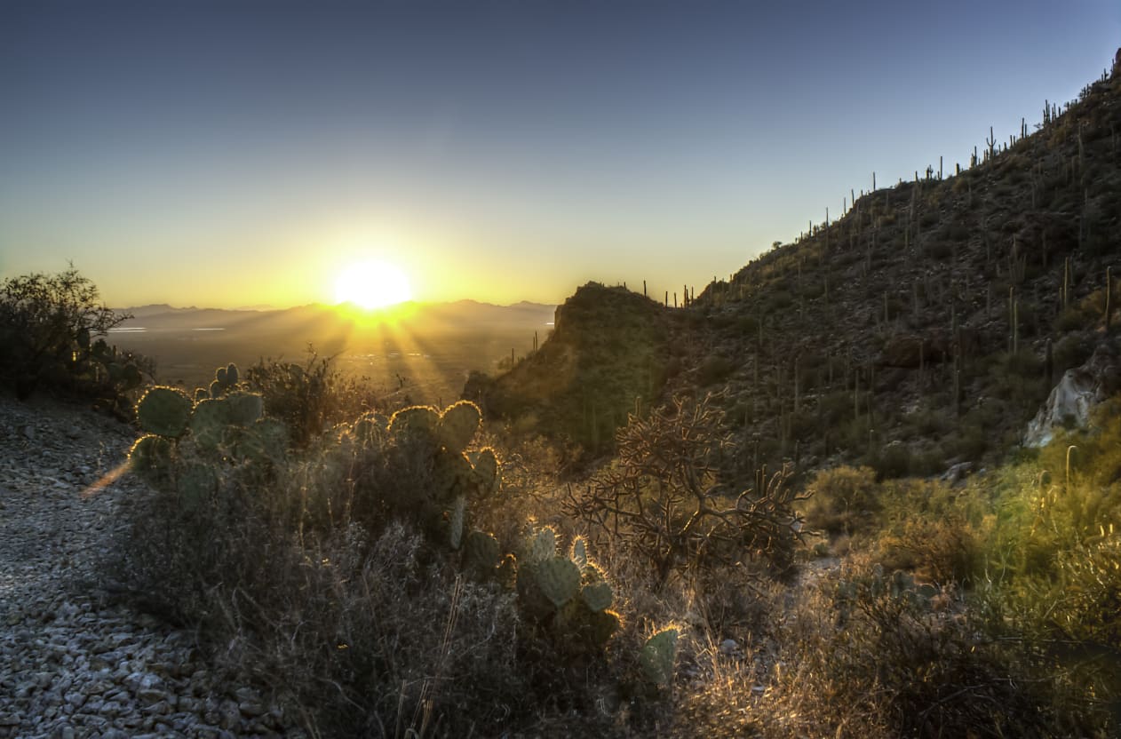 Where thoughtful architecture and open landscapes create a sense of calm, connection, and elevated desert living.