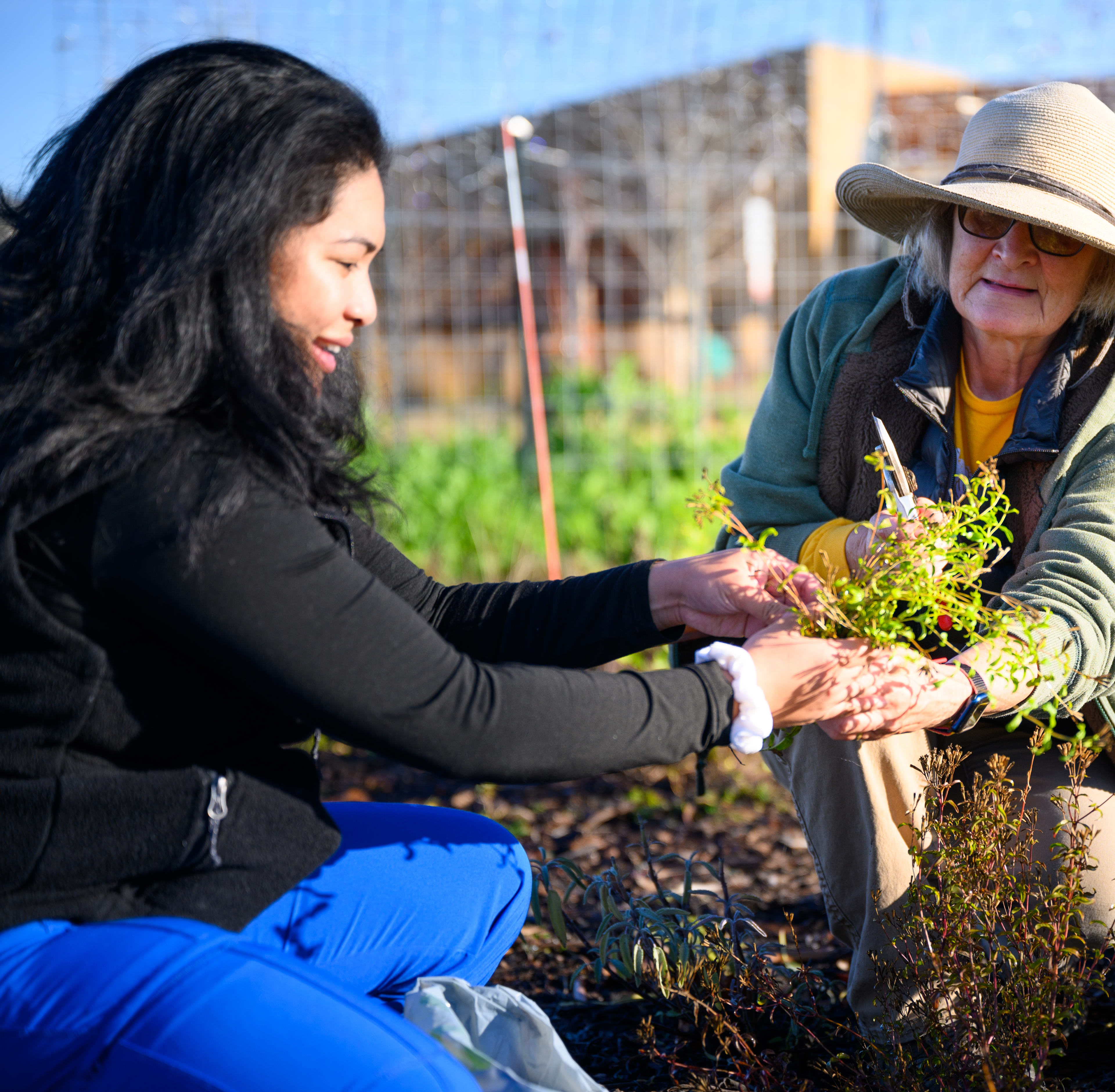 Walk the lake, pick some veggies, or dive in at the Clubhouse – find your place