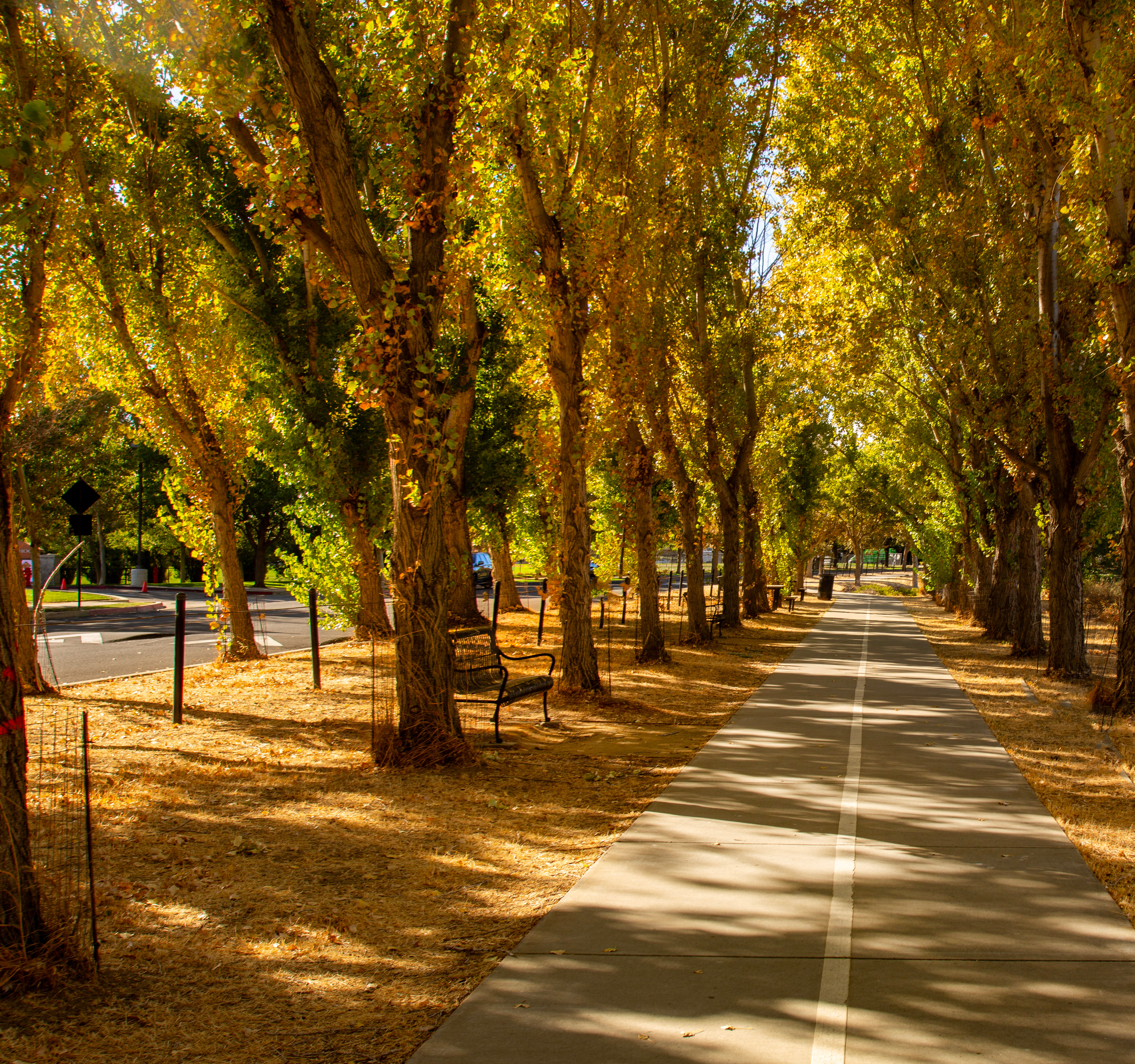 Walking Trails