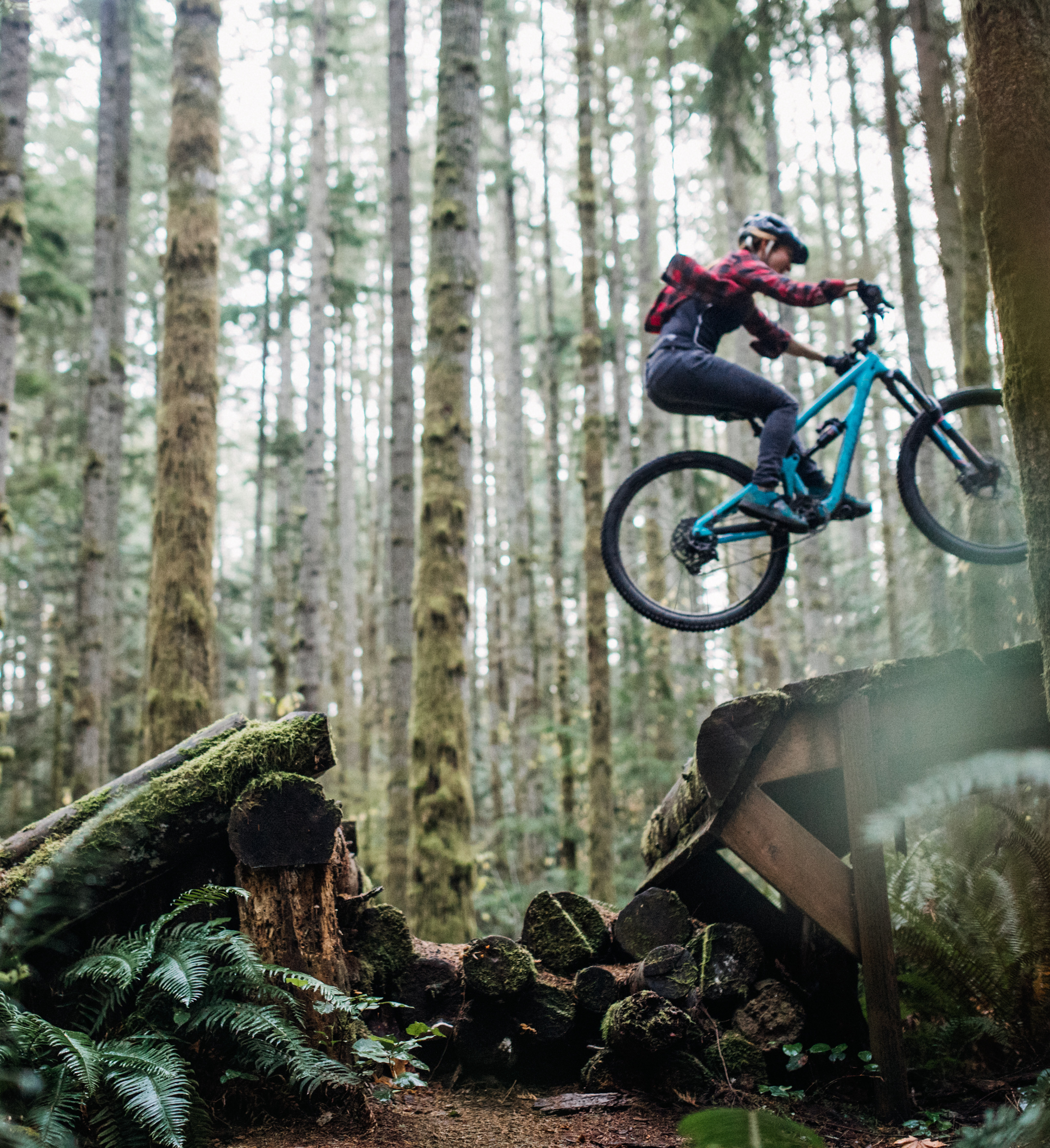 A person on a mountain bike is jumping over a fallen tree in a lush, forested environment.
