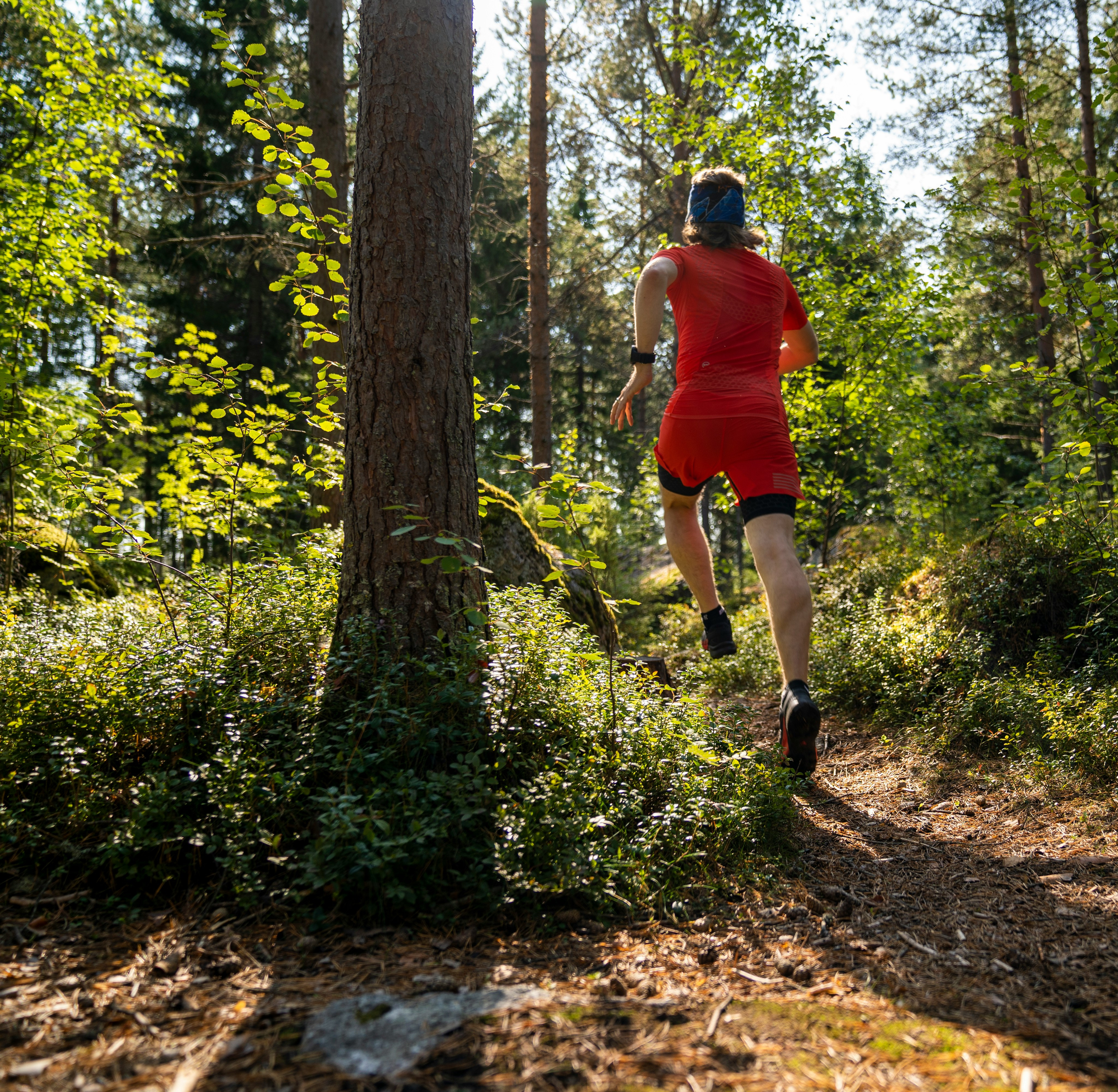 A person in a bright red outfit is walking along a dirt path through a lush, forested area with sunlight filtering through the trees.