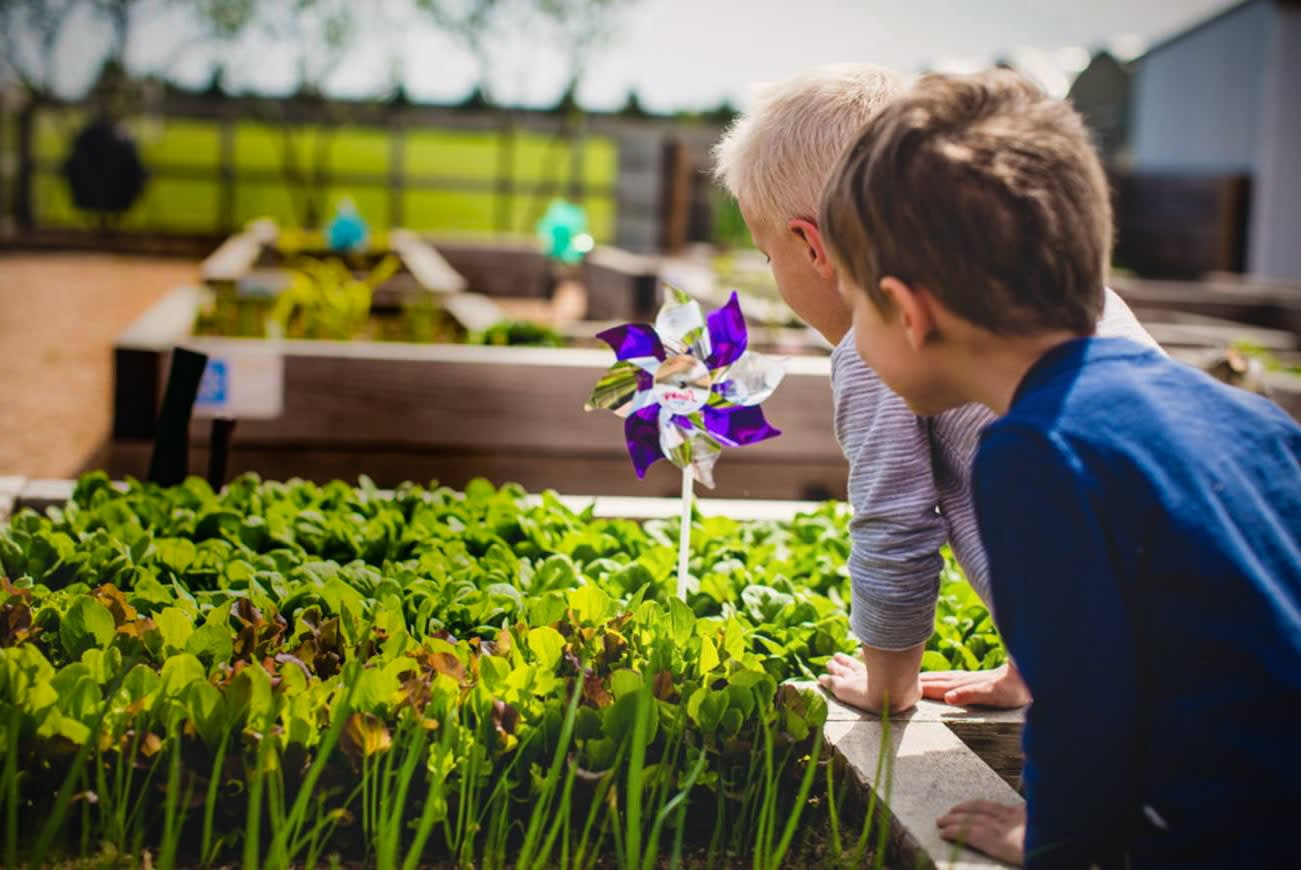 Connect at the clubhouse, wander fitness loops, or discover serene escapes in vibrant parks.