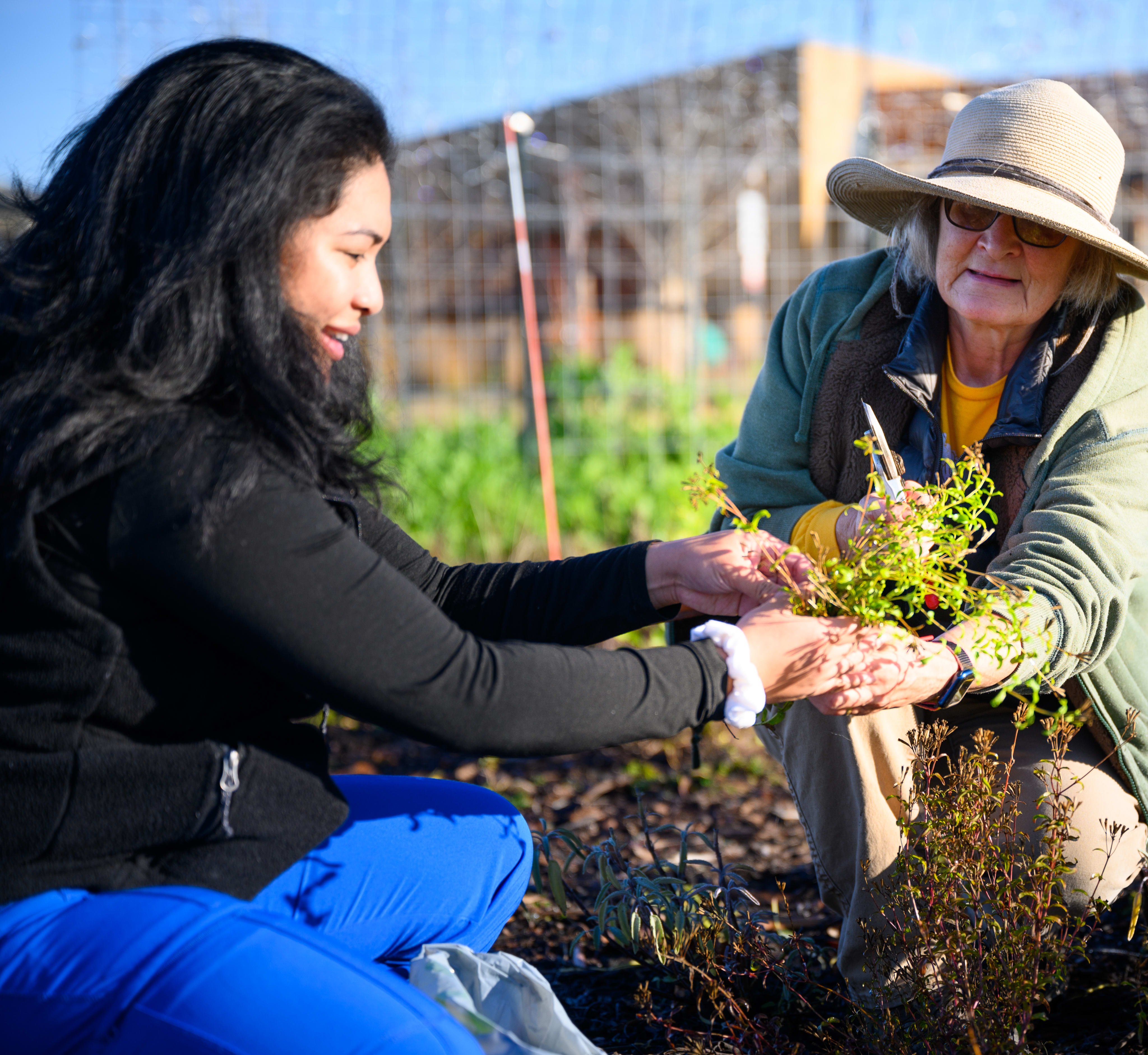 Walk the lake, pick some veggies, or dive in at the Clubhouse – find your place