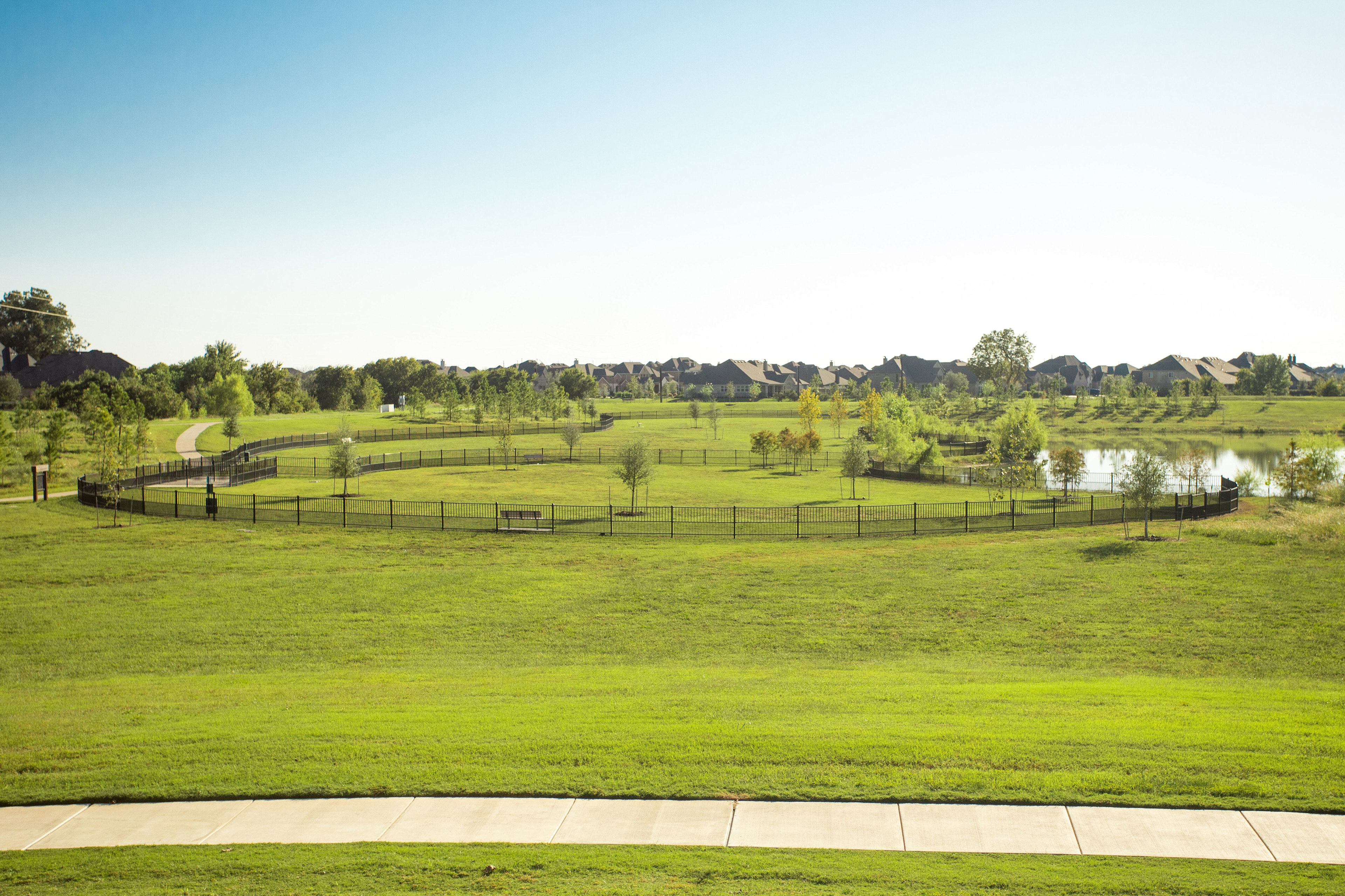 A lush, green grassy field with a pond in the background, surrounded by trees and buildings, creating a serene and picturesque landscape.
