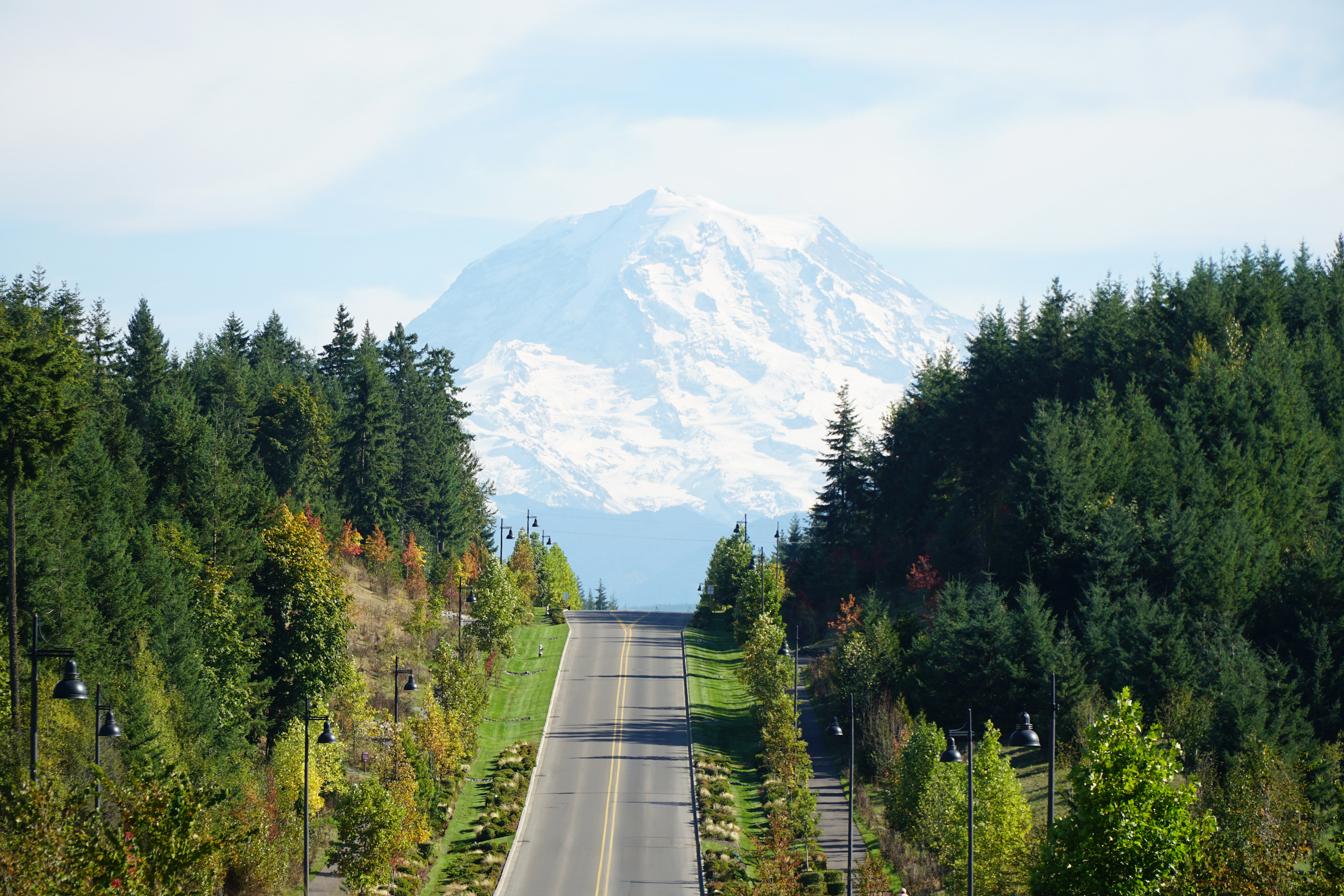 A winding road leads through a lush, forested landscape, with a majestic snow-capped mountain peak visible in the distance.