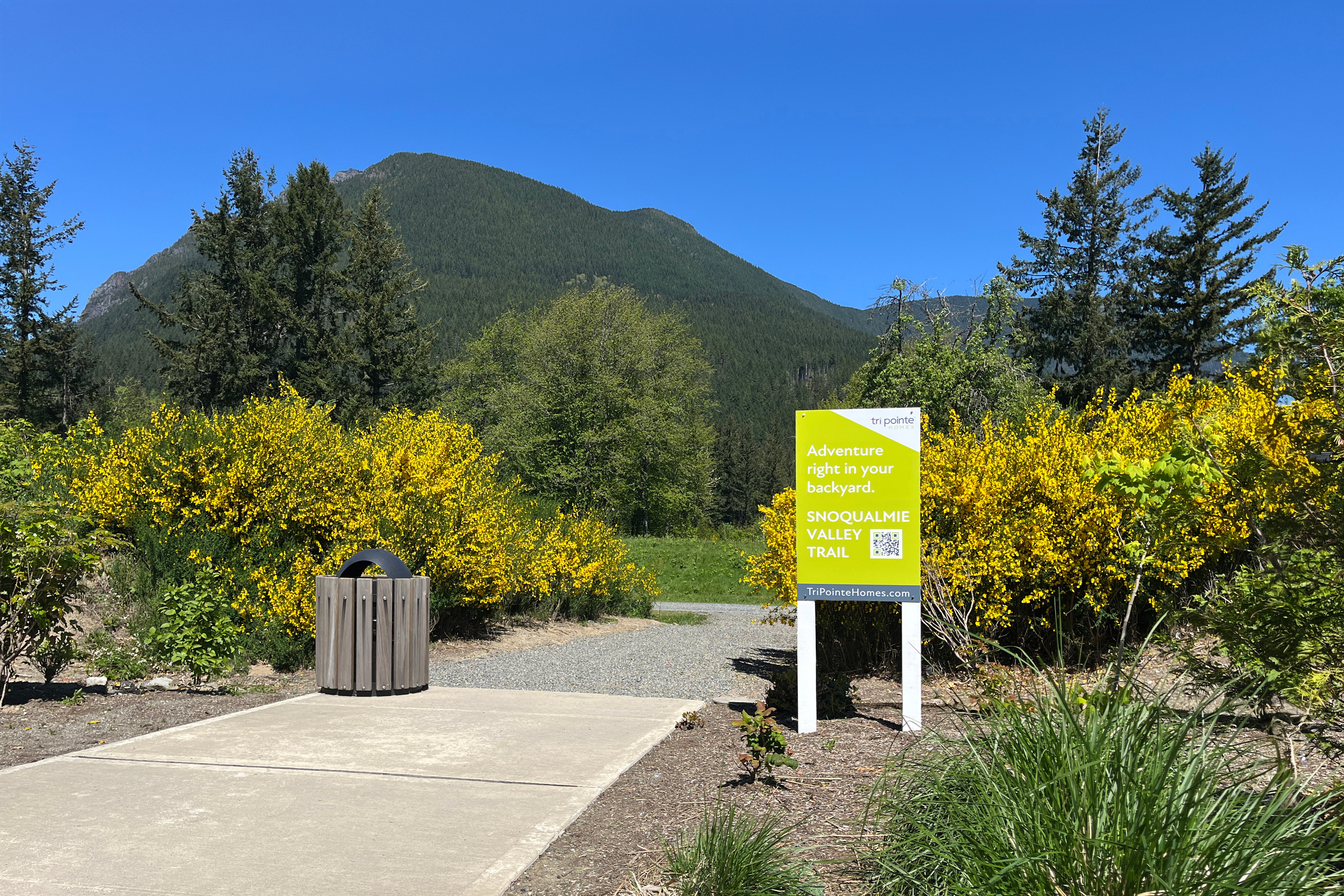 A paved path leads through a lush, green landscape with blooming yellow flowers in the foreground, while a towering mountain rises in the background under a clear blue sky.