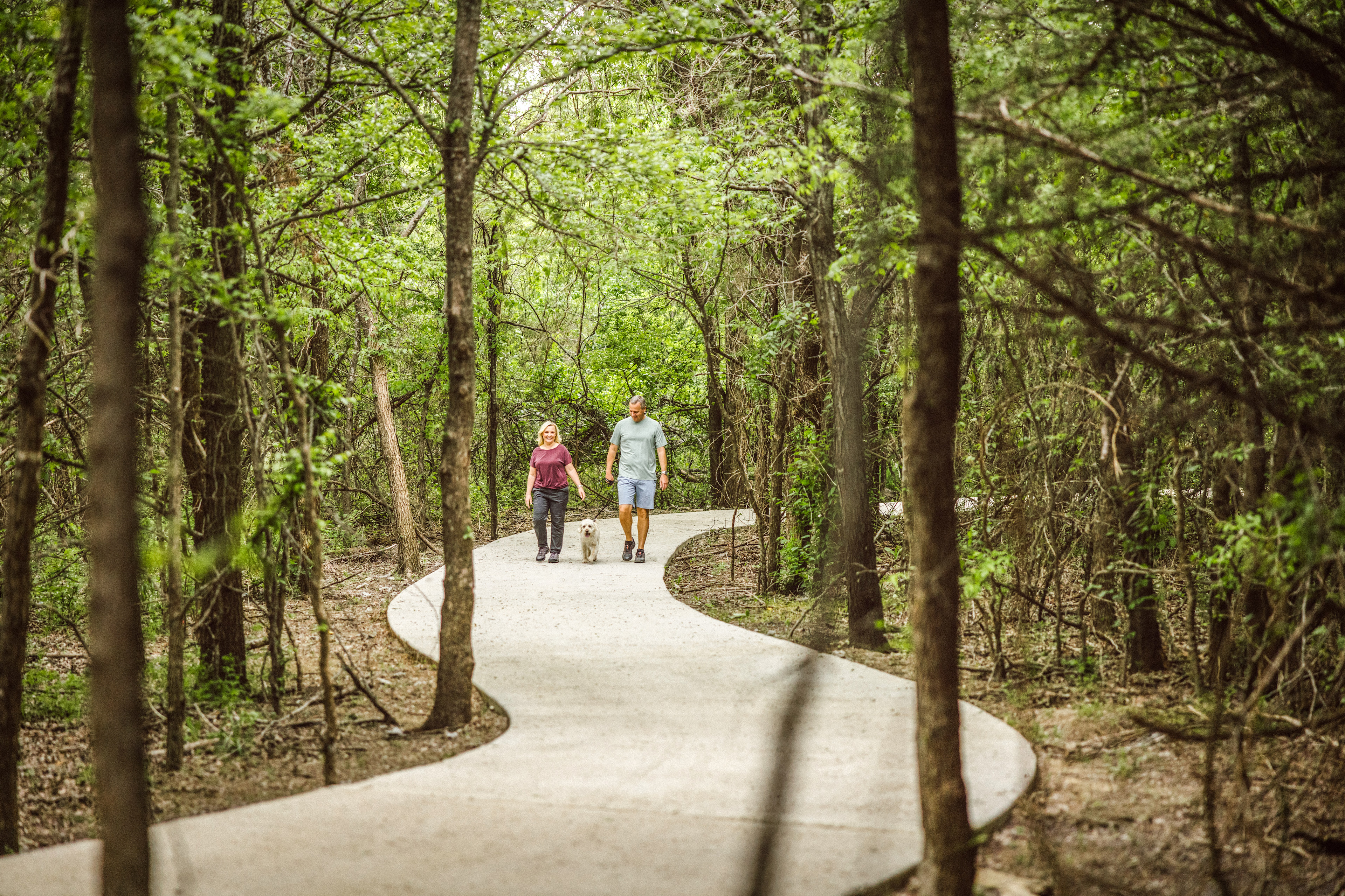 A winding path through a lush, green forest, with two people walking along it.