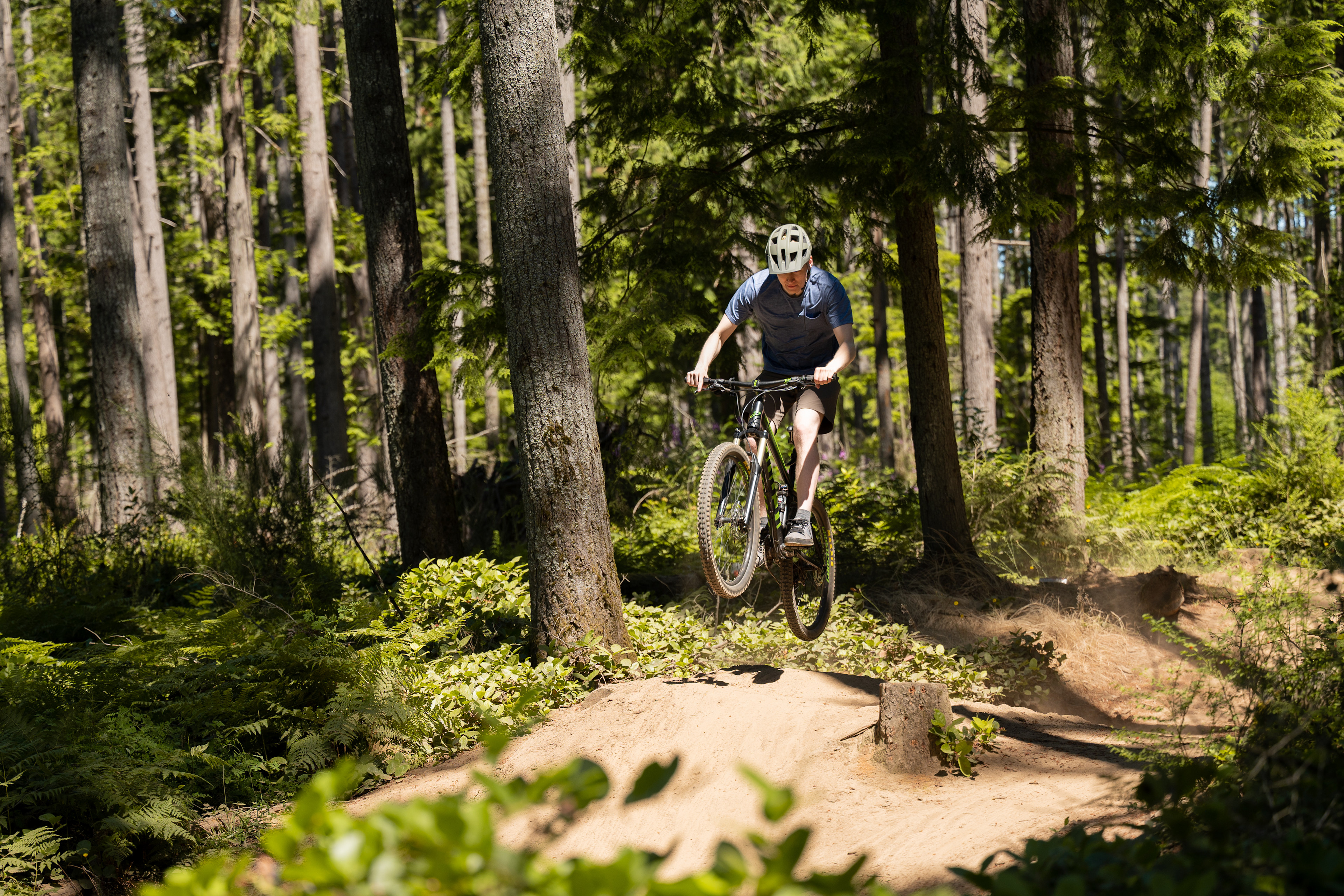 A cyclist rides through a lush, forested trail, surrounded by tall trees and verdant vegetation.