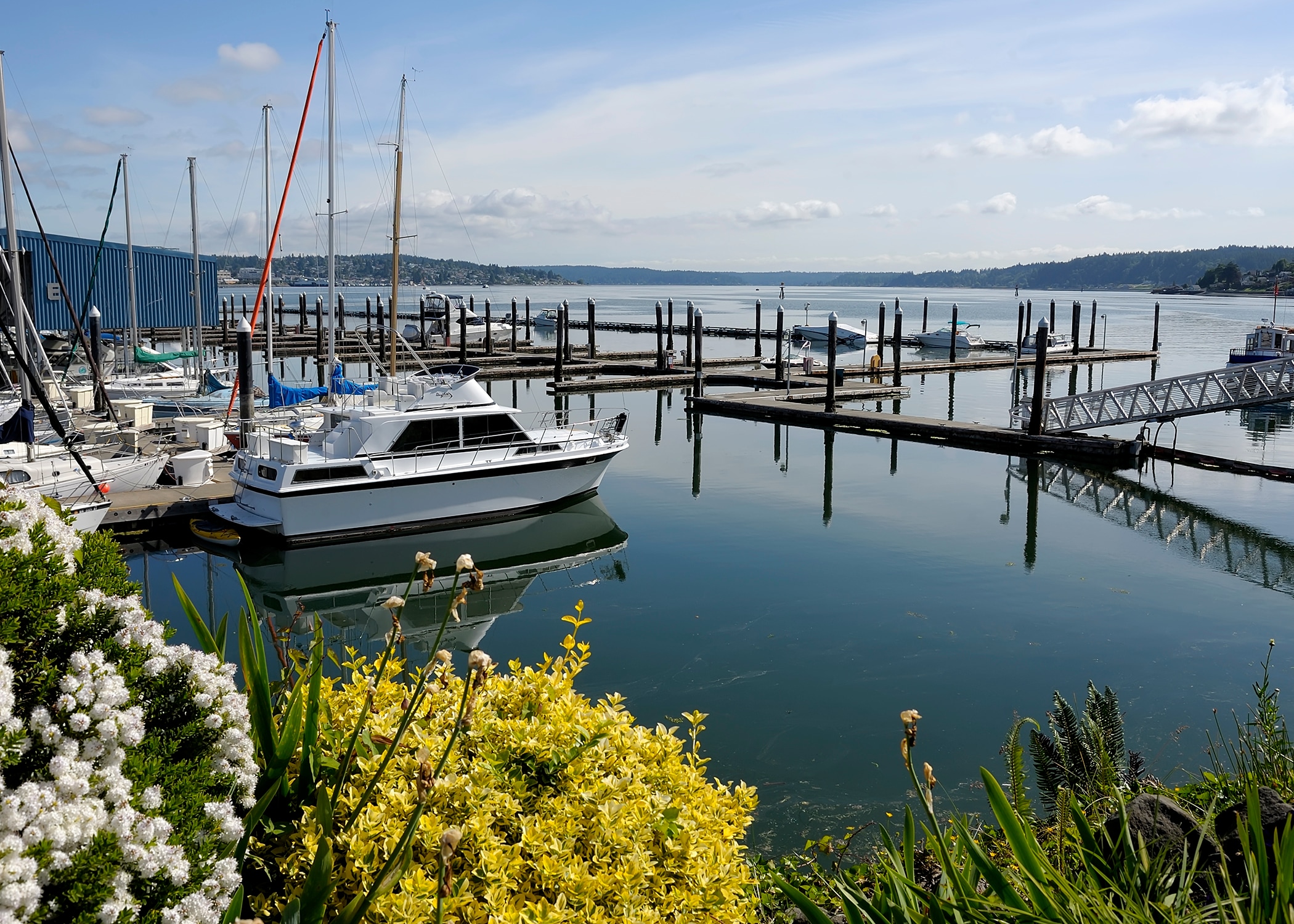 A serene marina with boats docked in the calm waters, surrounded by lush greenery and a picturesque landscape in the background.