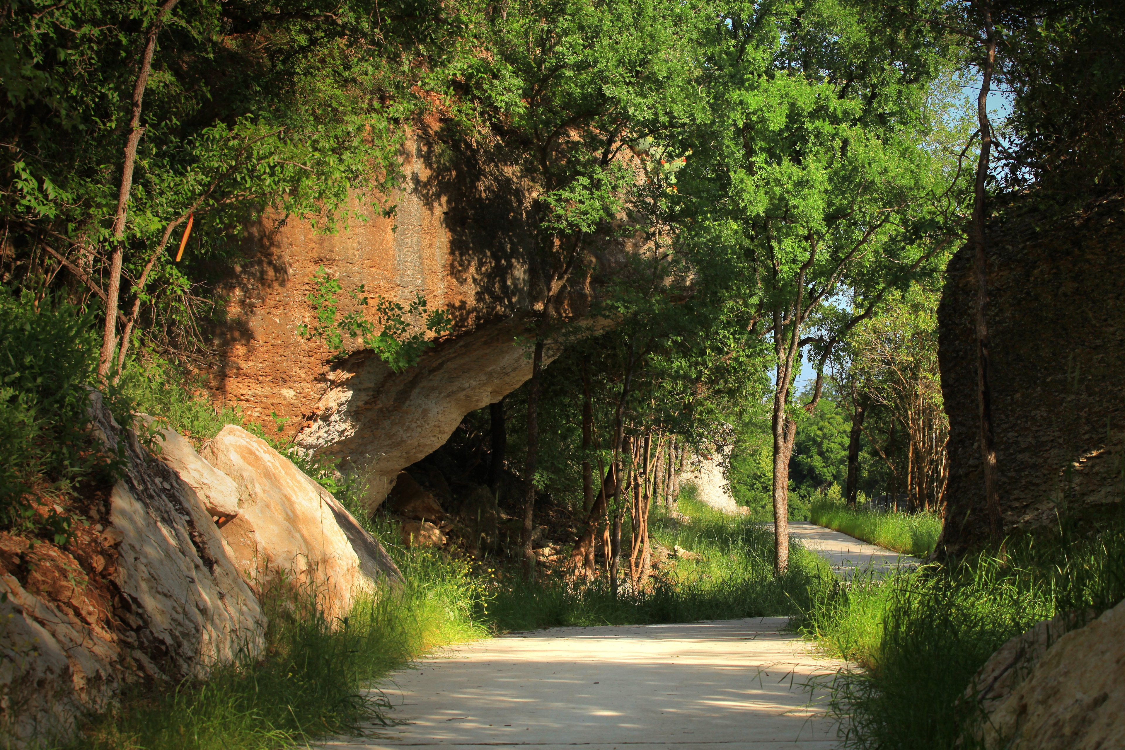 A winding dirt path leads through a lush, verdant forest, with towering trees and rocky cliffs lining the sides, creating a serene and tranquil natural setting.
