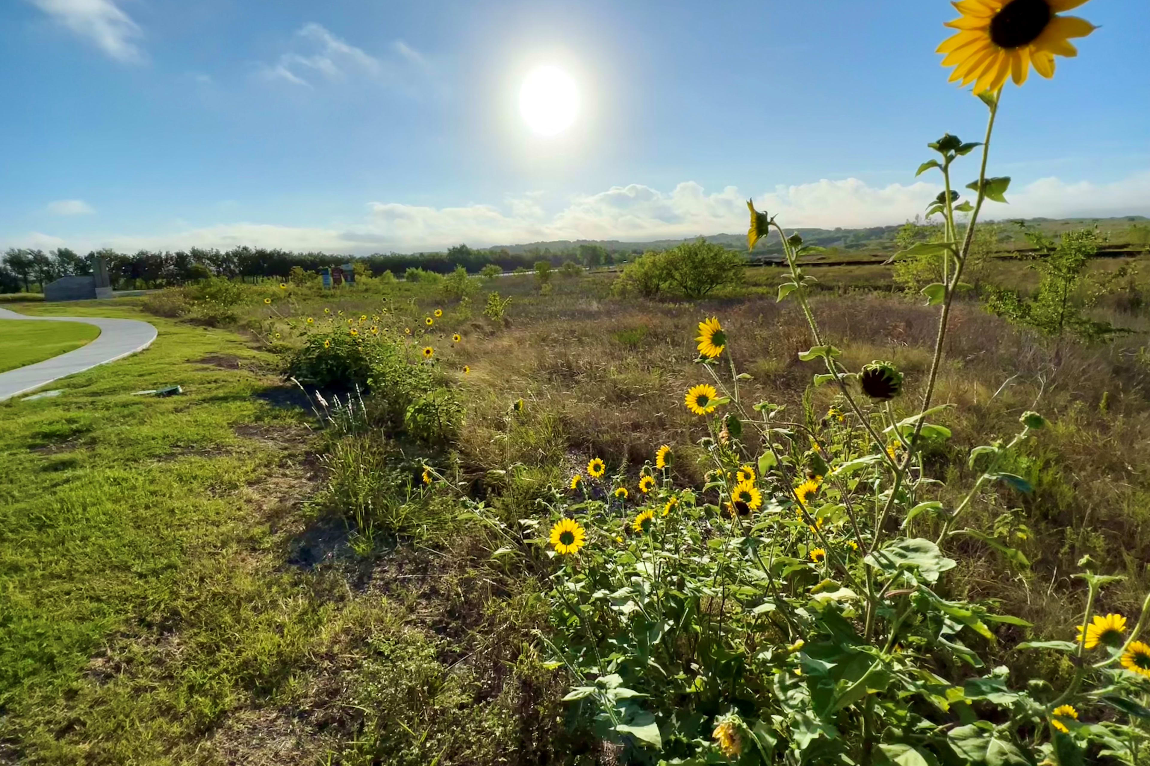 Park Collection at Turner’s Crossing