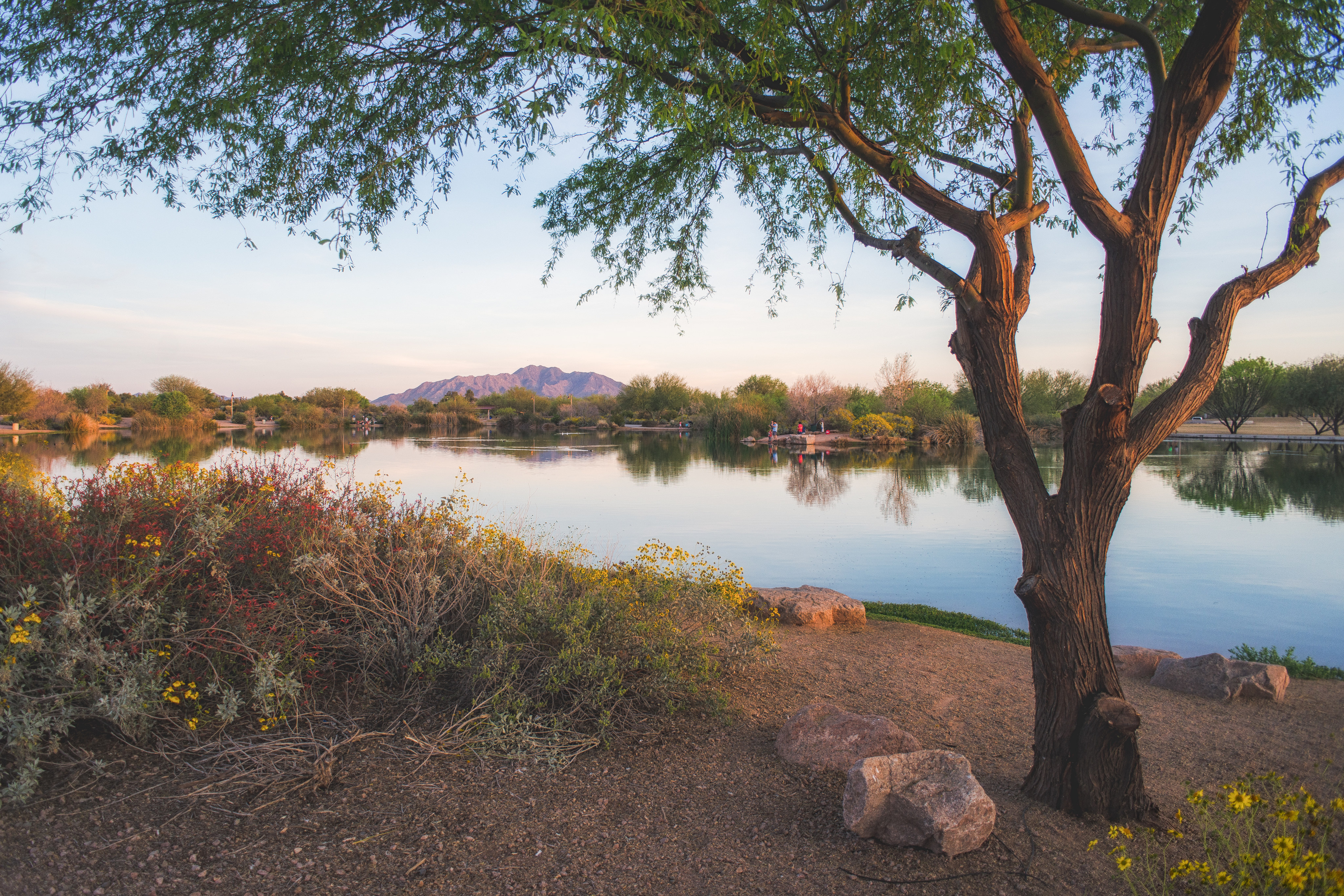 A serene lake surrounded by lush vegetation, with a majestic mountain range visible in the distance, creating a picturesque natural landscape.