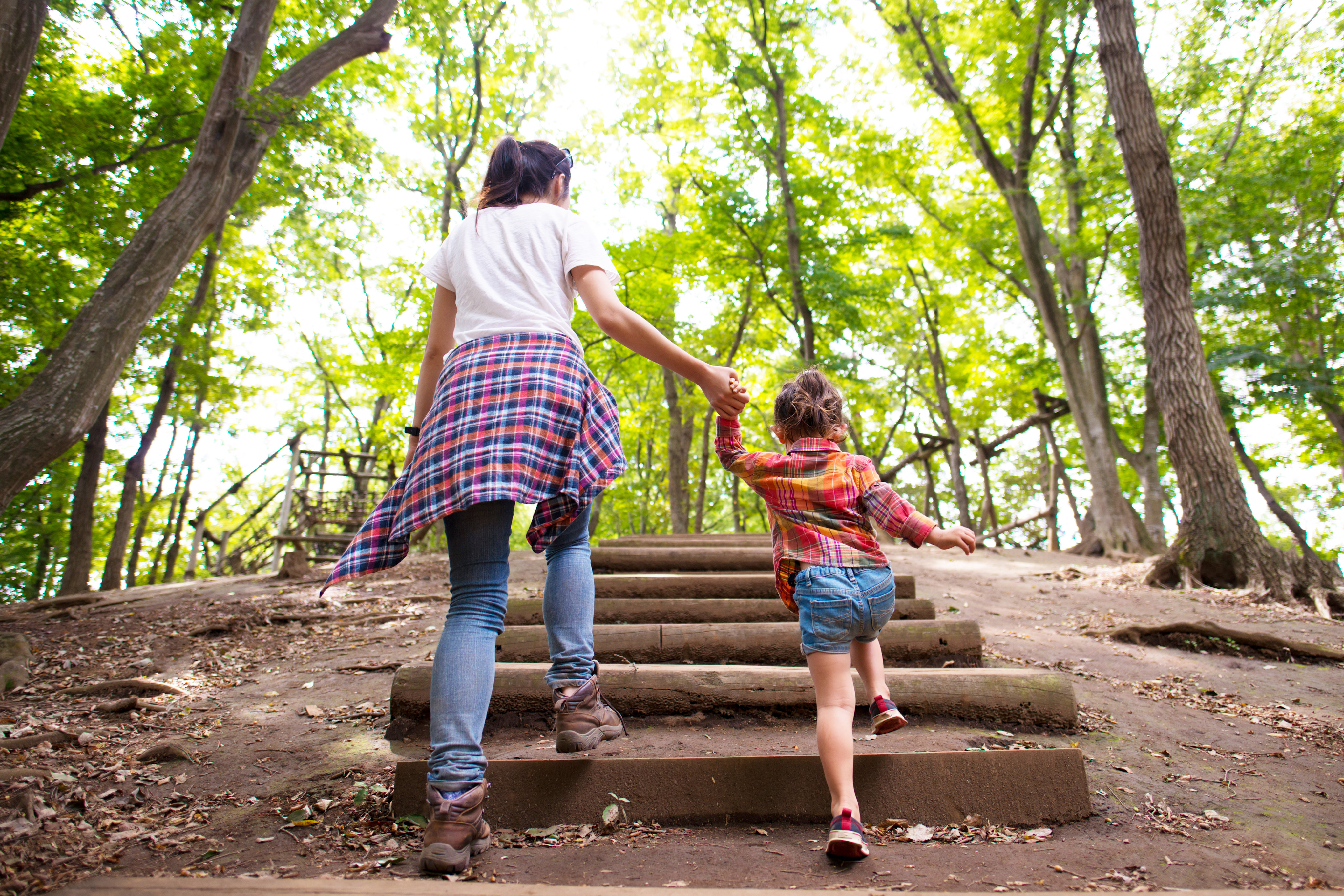 A woman and a young child are walking up a set of wooden steps in a lush, green forest environment.